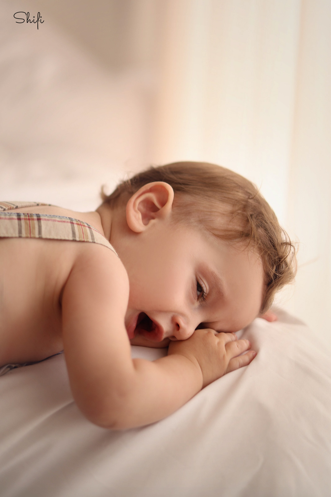 צילום שיפי 0548517049 (1).jpg