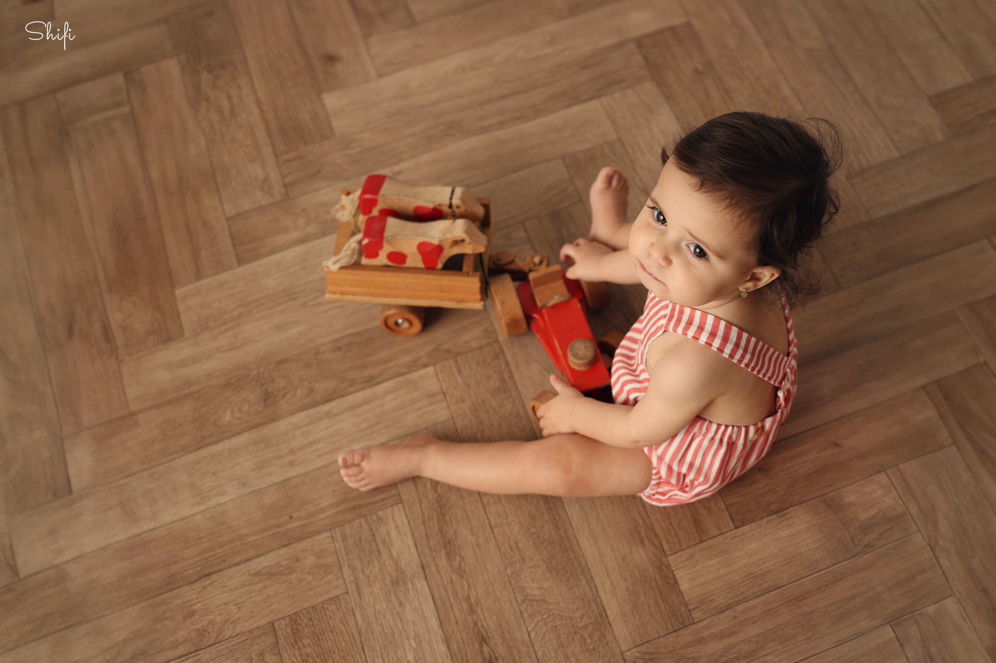 צילום שיפי 0548517049 (1).jpg