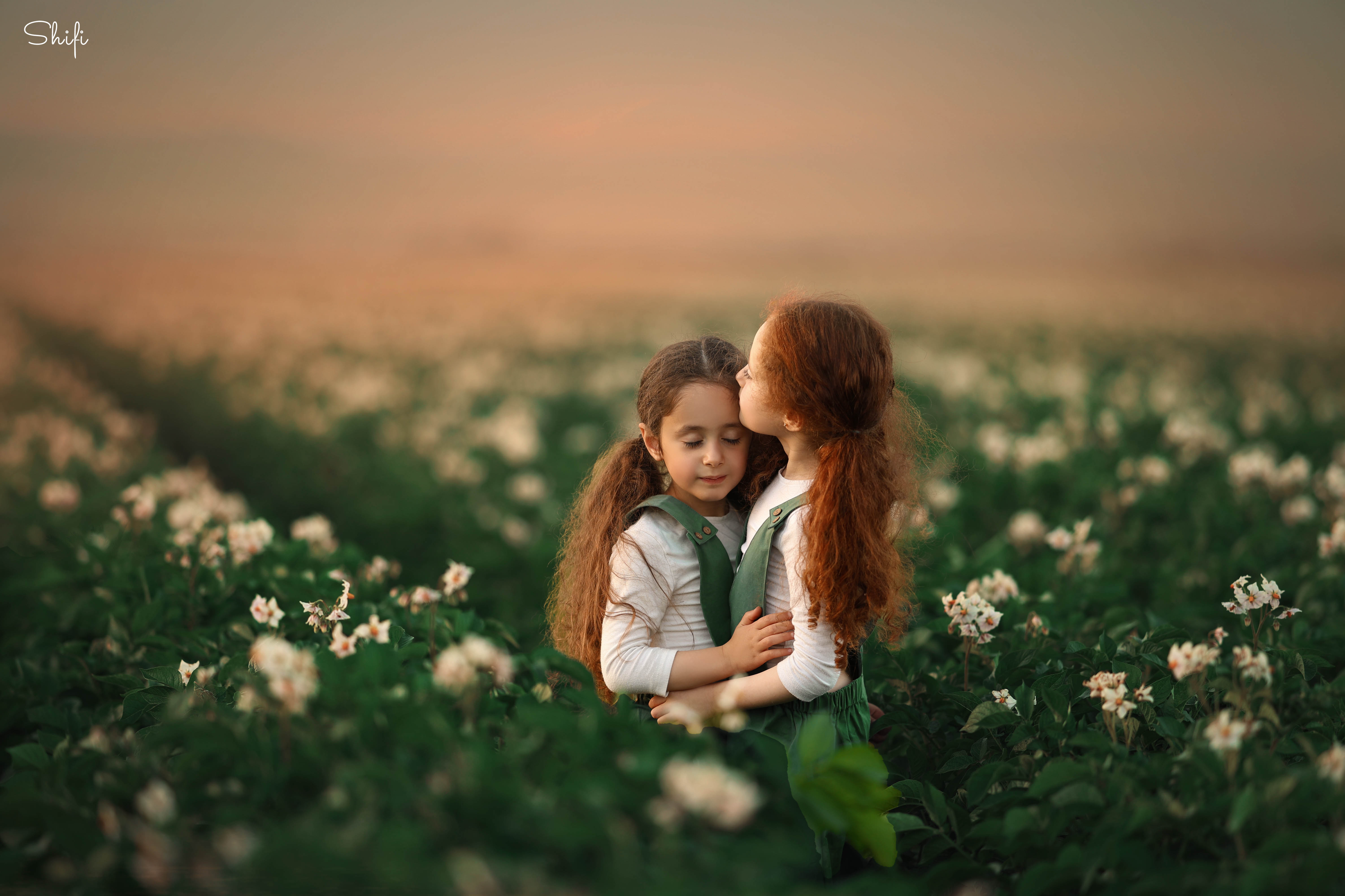 צילום שיפי 0548517049 (10).jpg