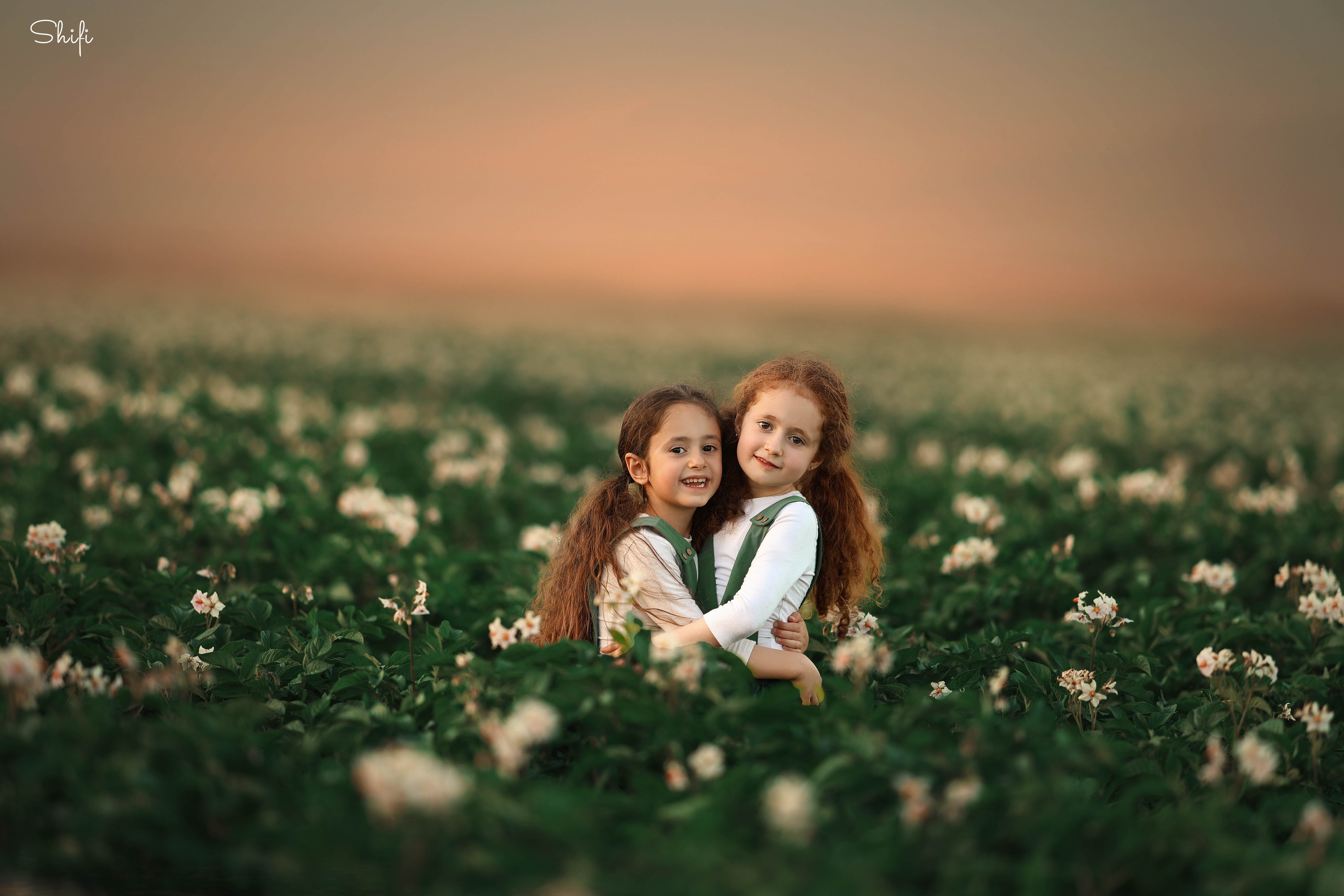 צילום שיפי 0548517049 (11).jpg