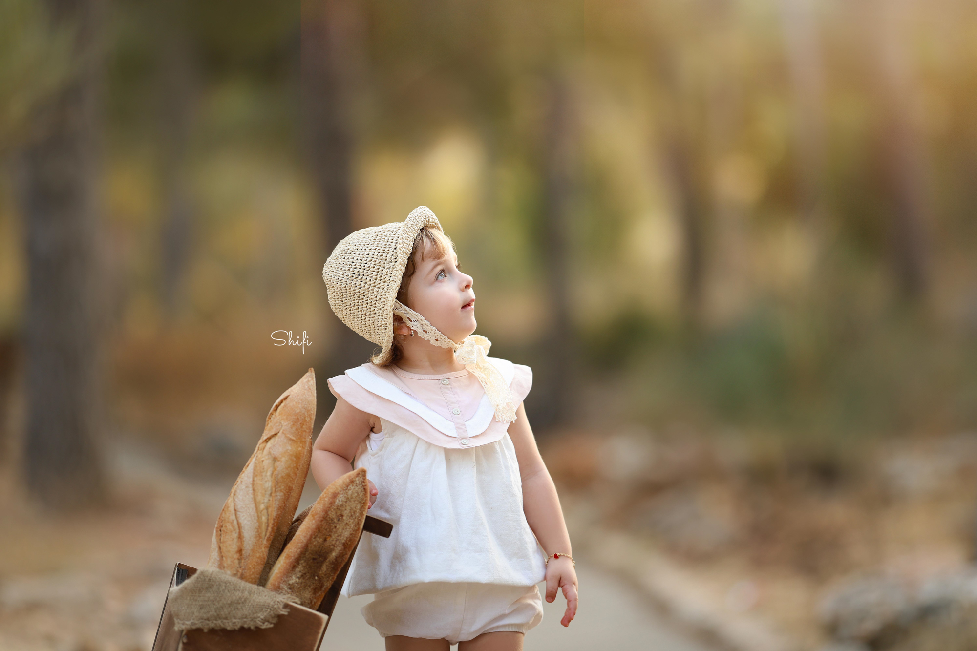 צילום שיפי 0548517049 (11).jpg