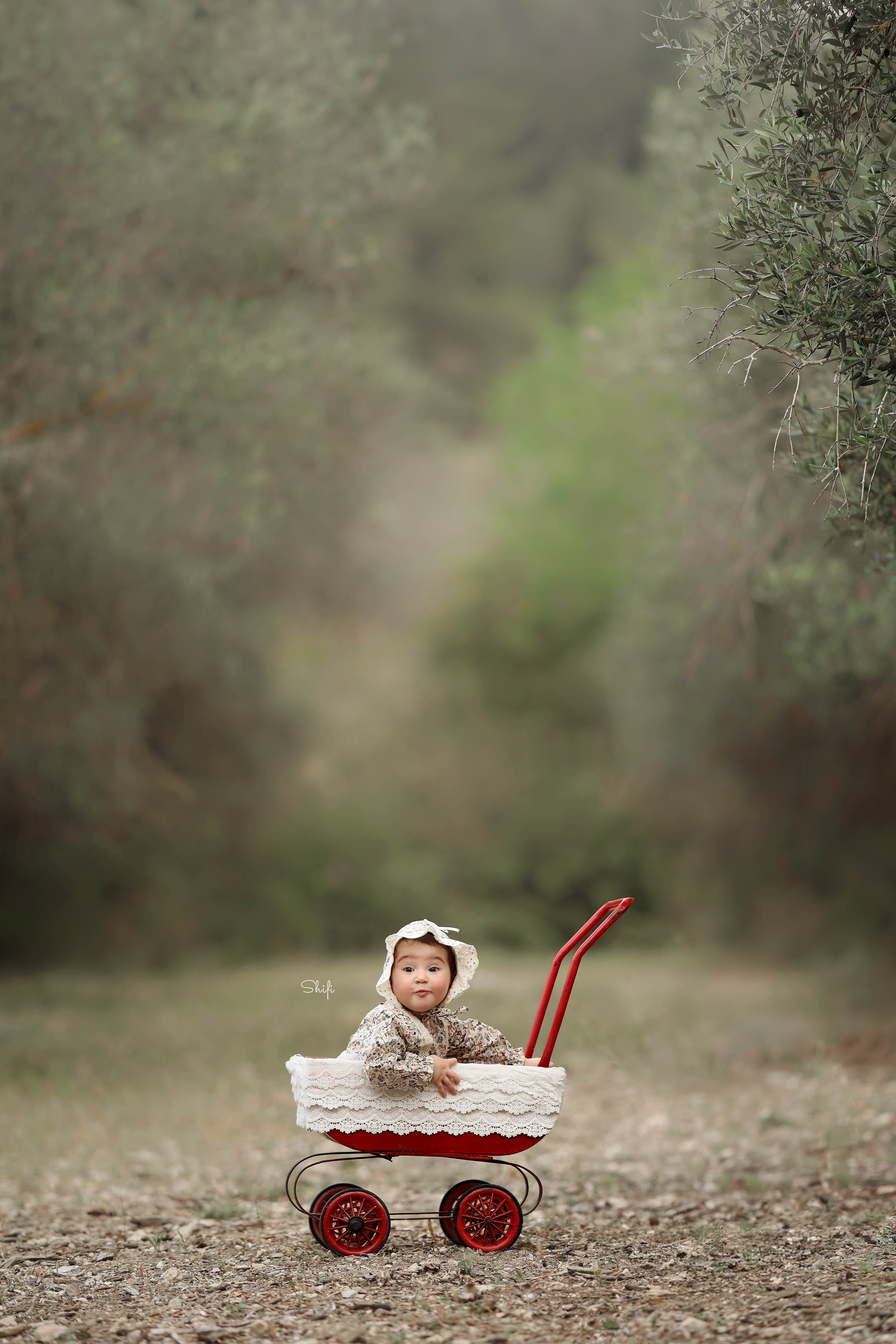 צילום שיפי 0548517049 (13).jpg