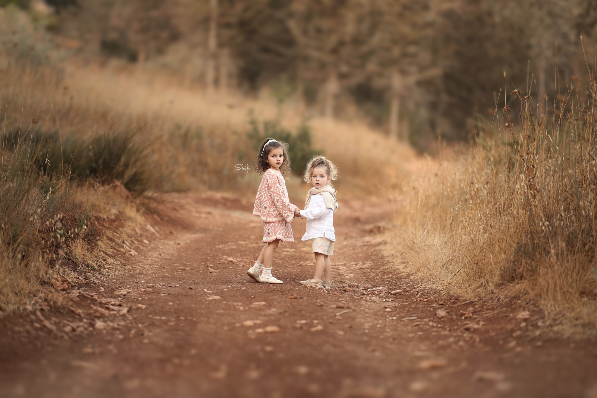 צילום שיפי 0548517049 (14).jpg