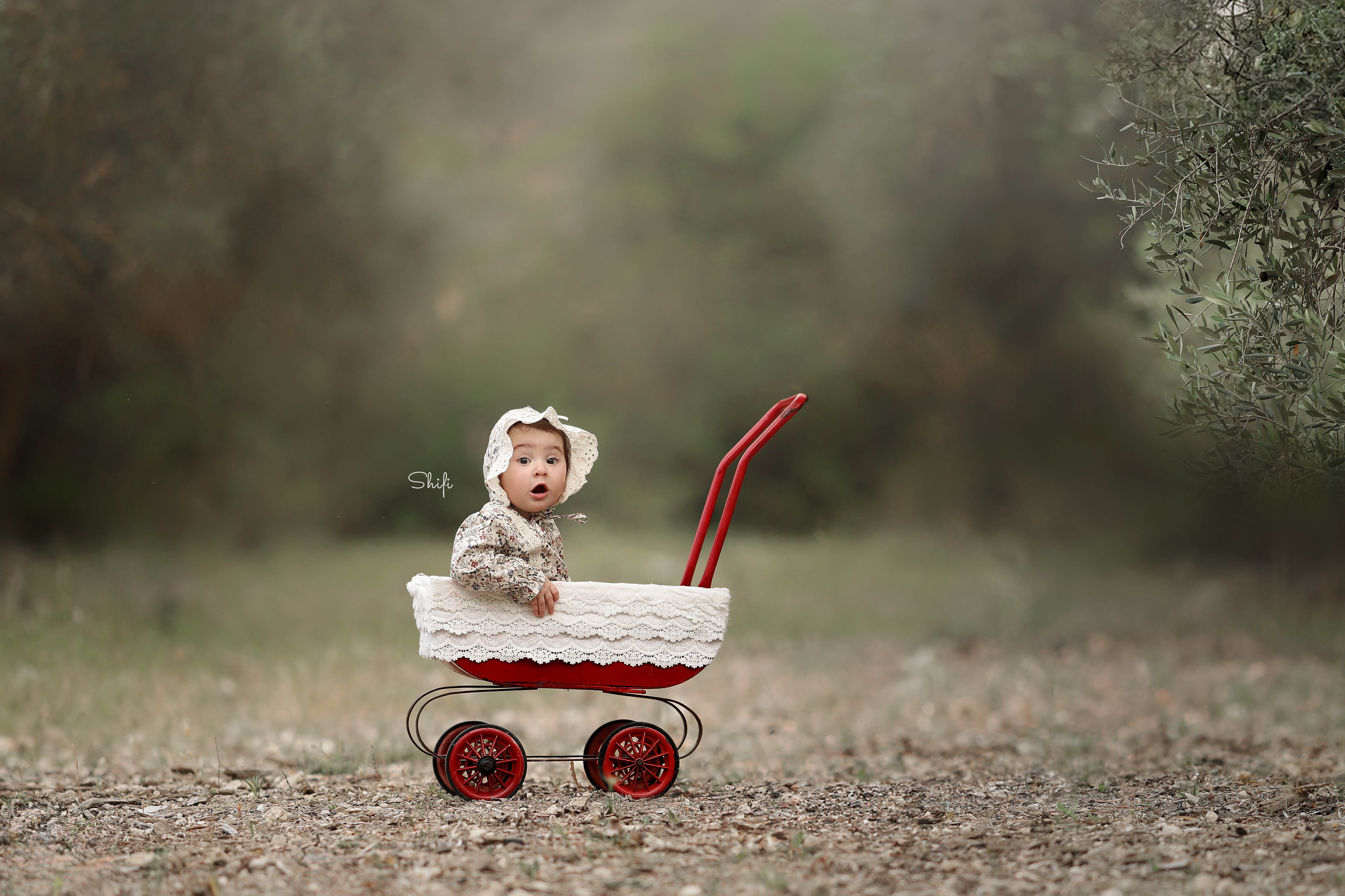 צילום שיפי 0548517049 (15).jpg