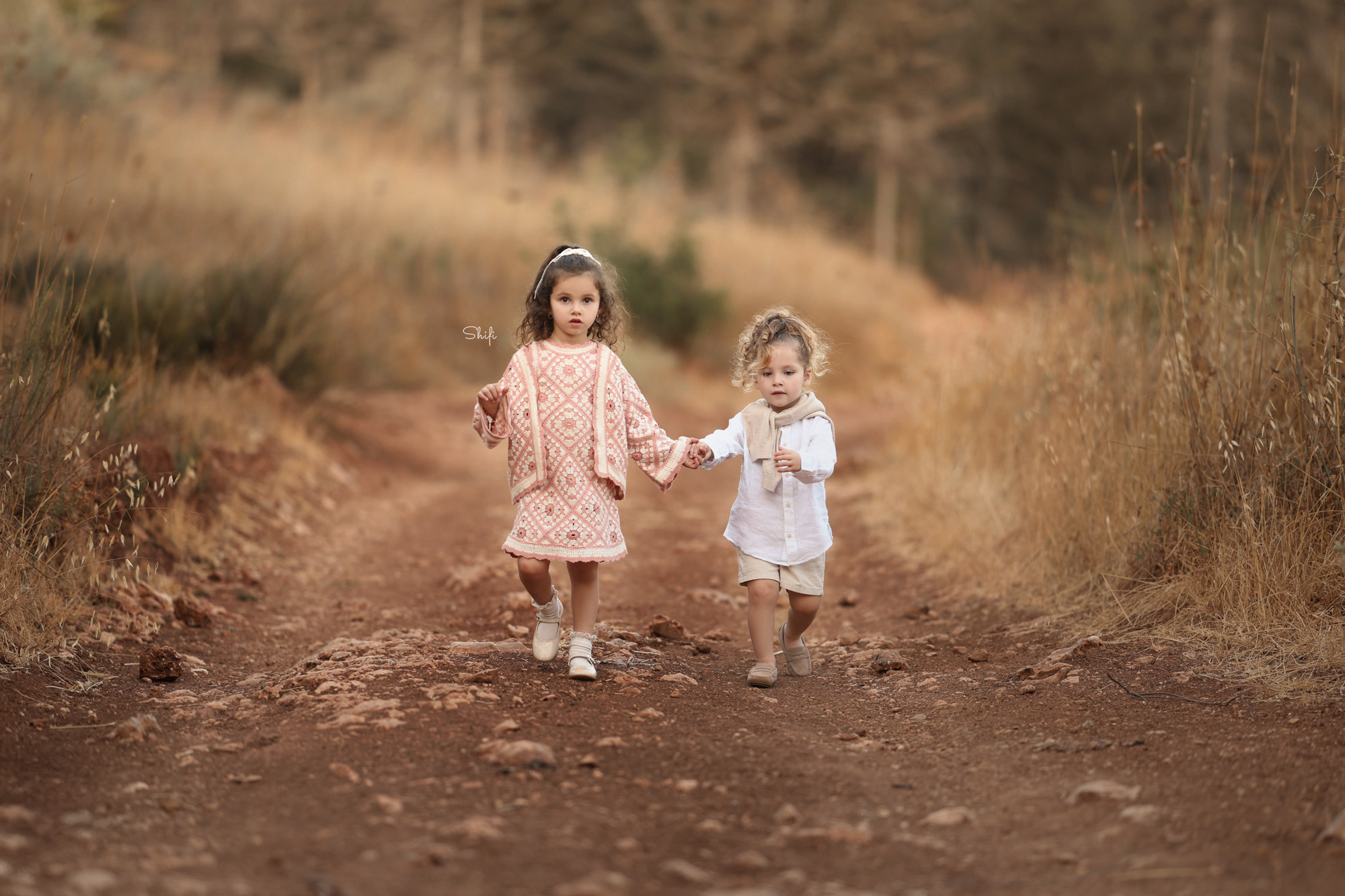 צילום שיפי 0548517049 (15).jpg