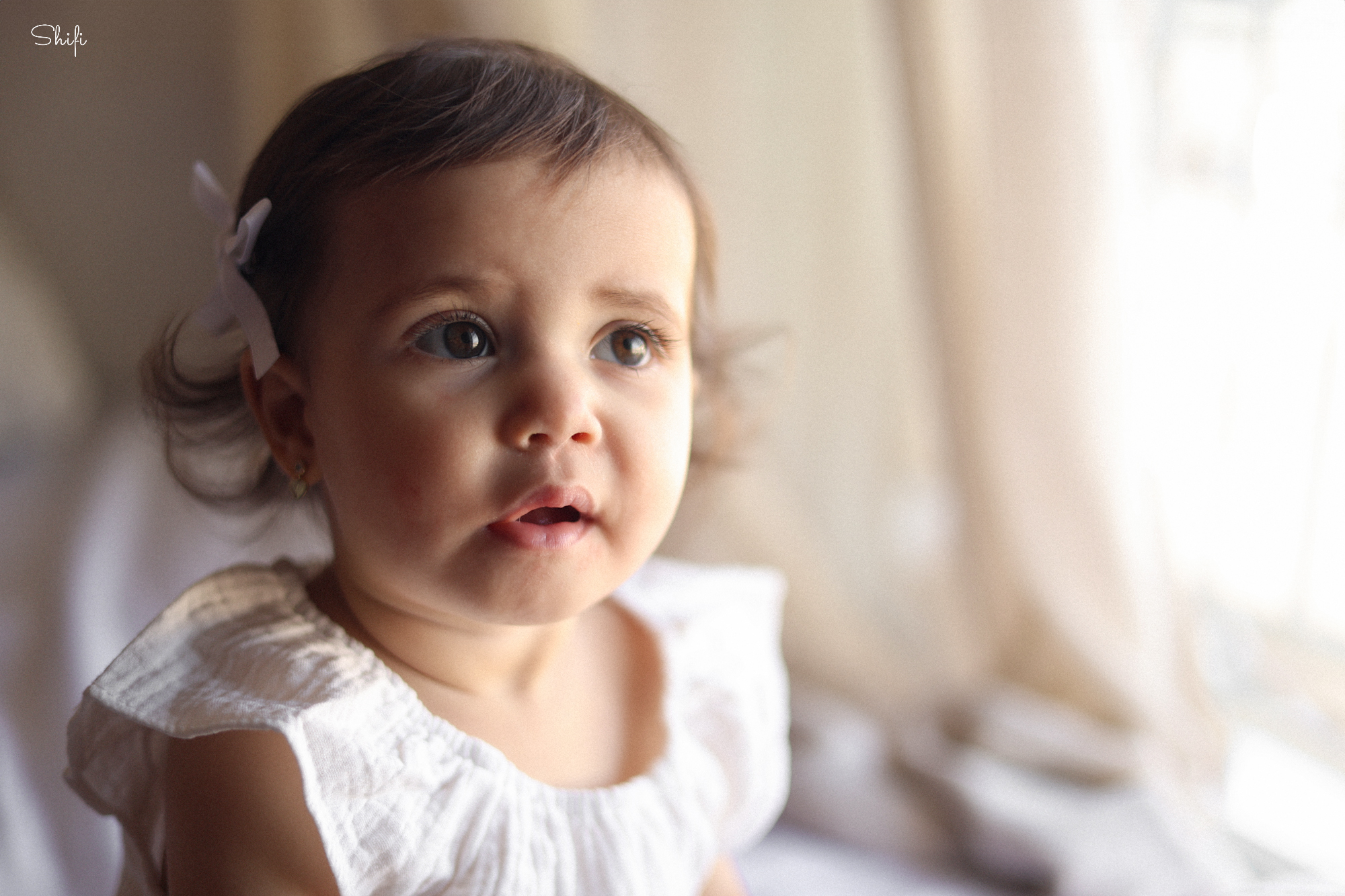 צילום שיפי 0548517049 (18).jpg