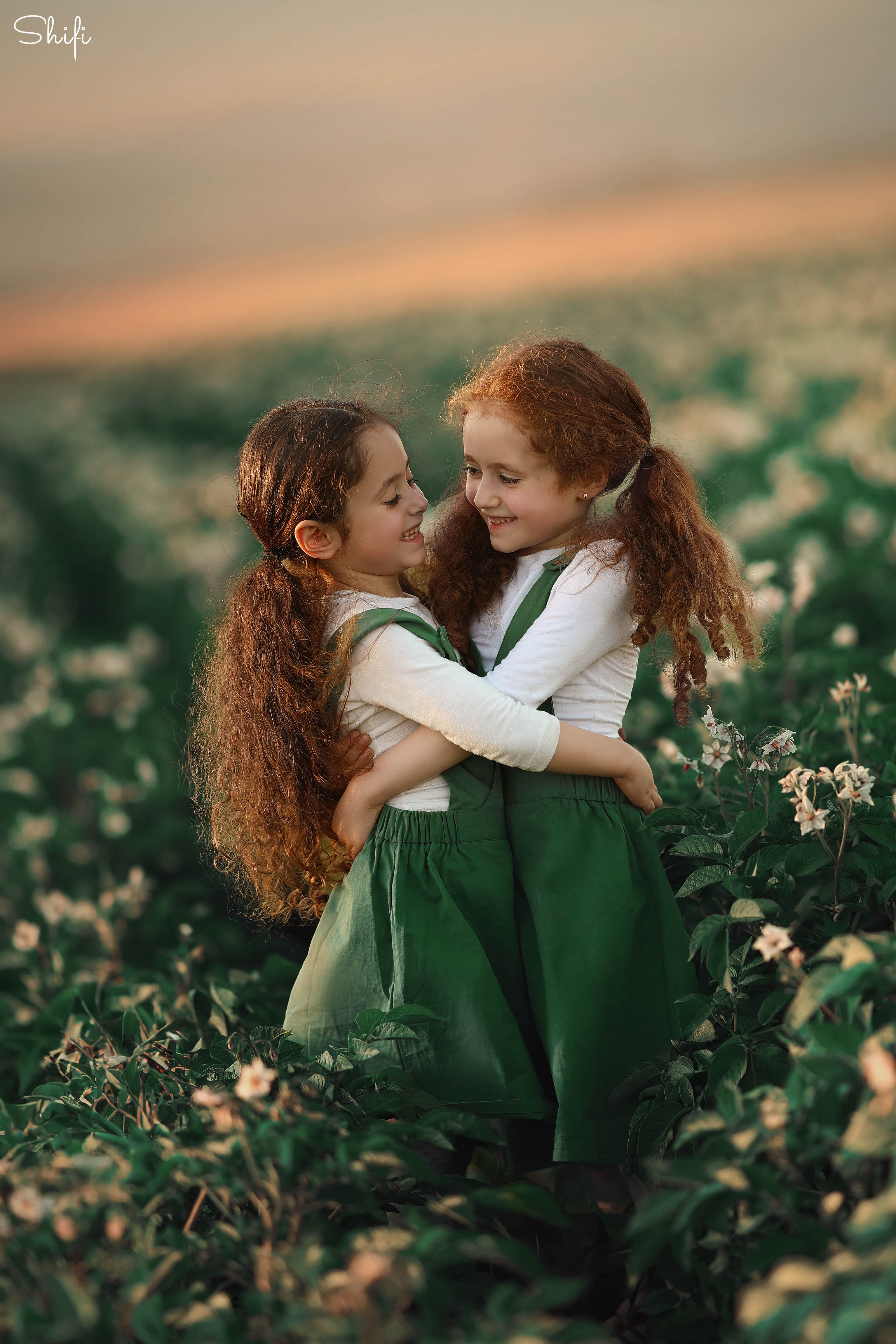 צילום שיפי 0548517049 (2).jpg