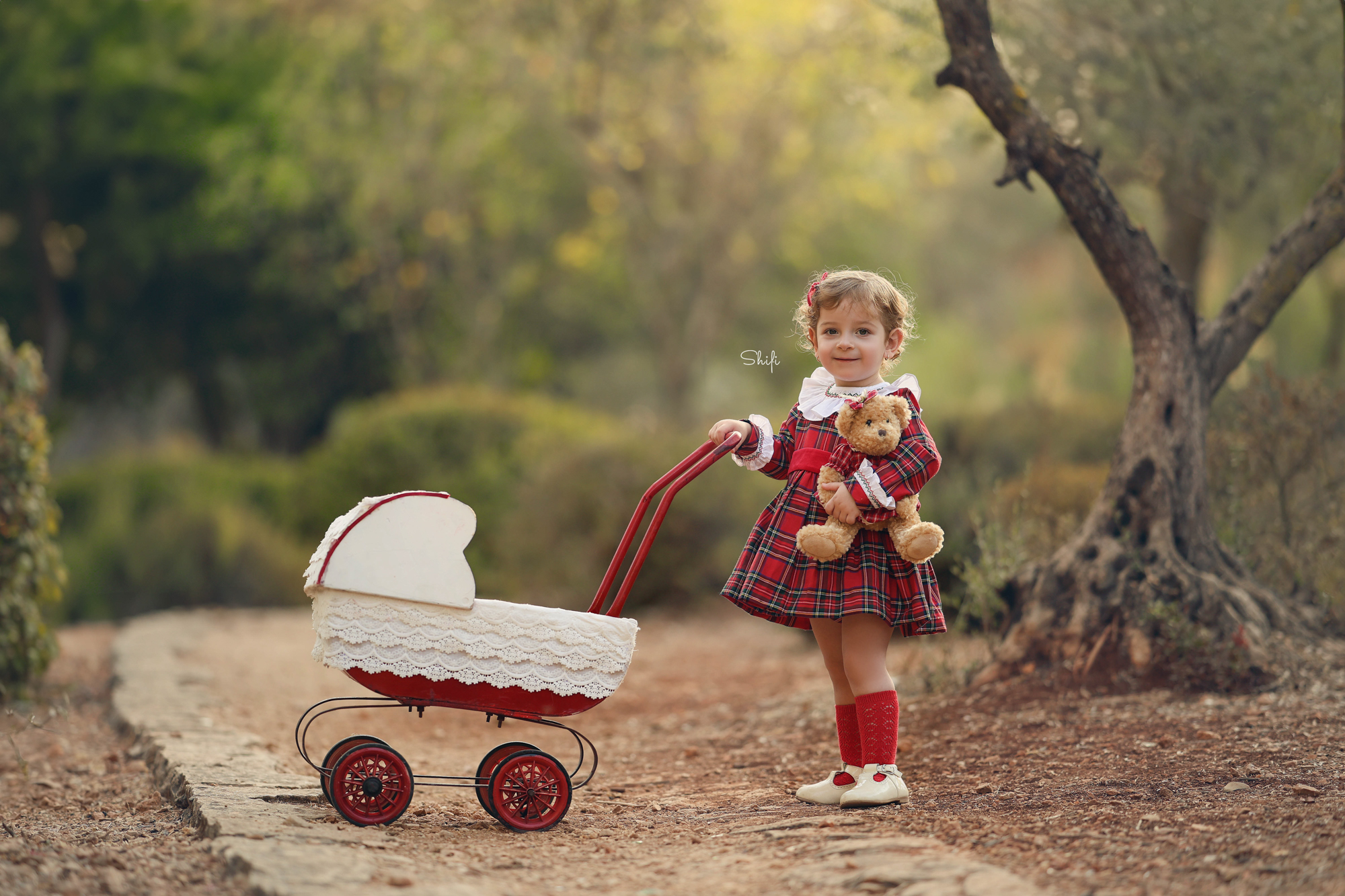 צילום שיפי 0548517049 (2).jpg