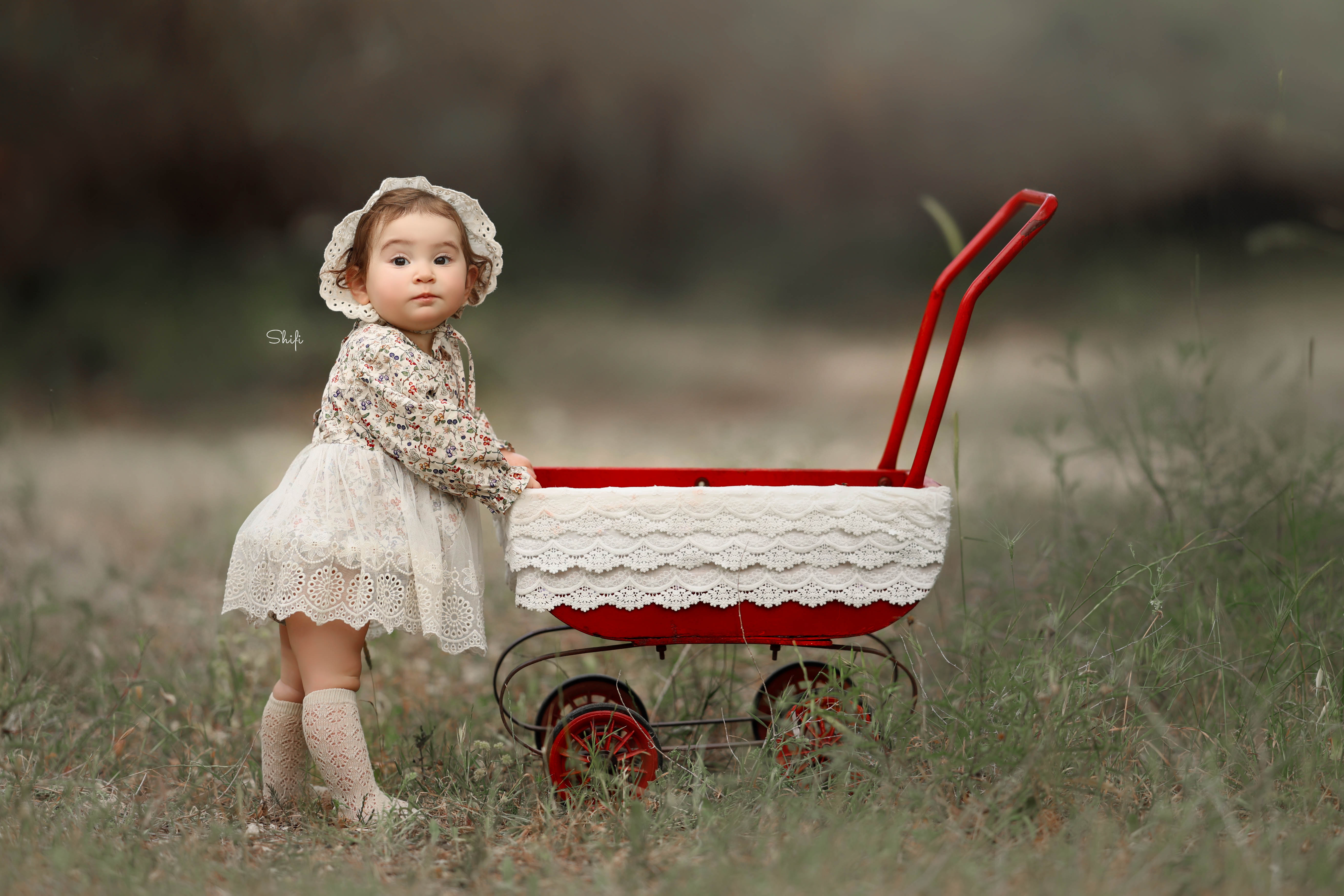 צילום שיפי 0548517049 (21).jpg