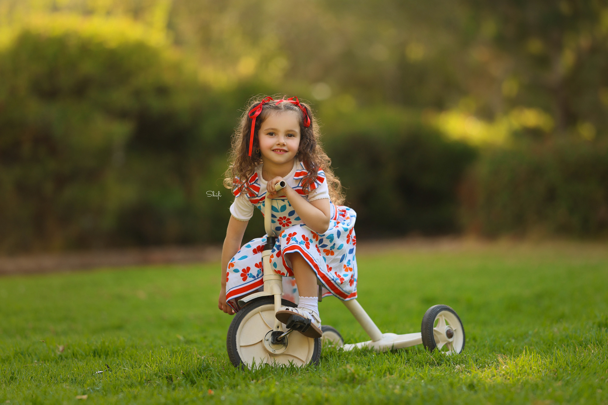 צילום שיפי 0548517049 (22).jpg