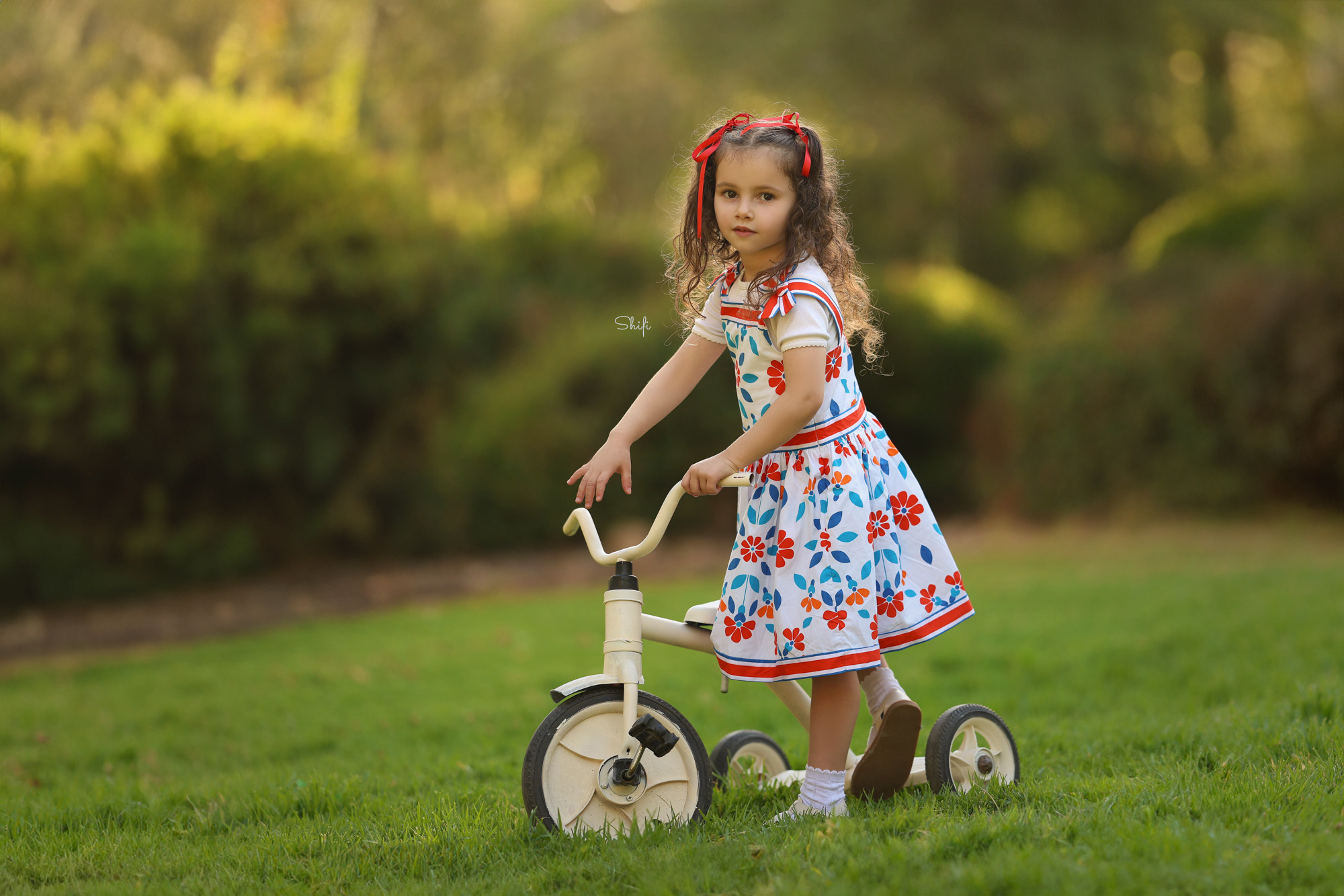 צילום שיפי 0548517049 (23).jpg