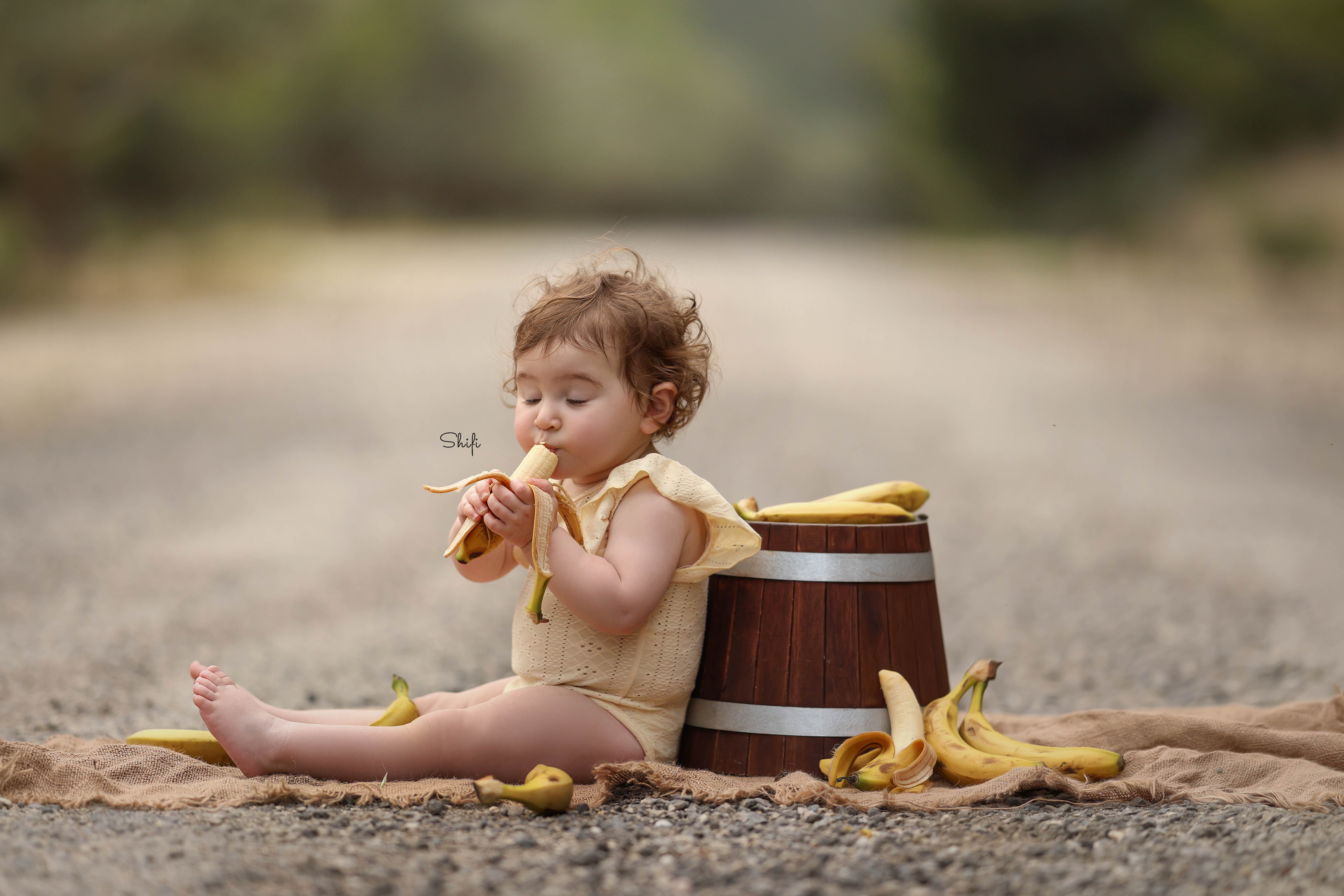 צילום שיפי 0548517049 (25).jpg