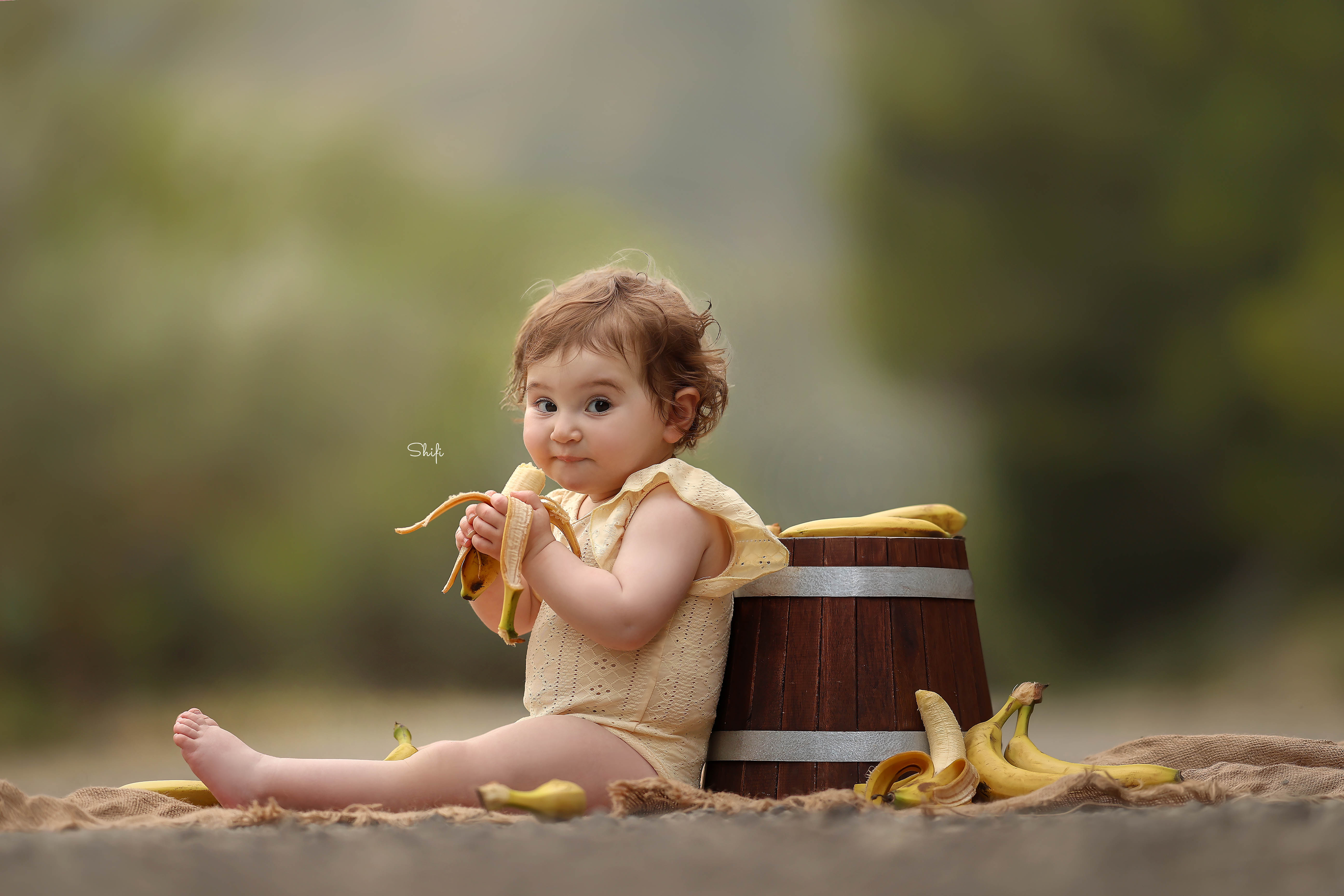 צילום שיפי 0548517049 (26).jpg