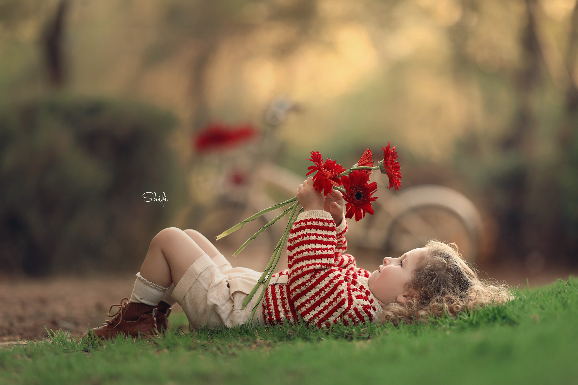 צילום שיפי 0548517049 (29).jpg