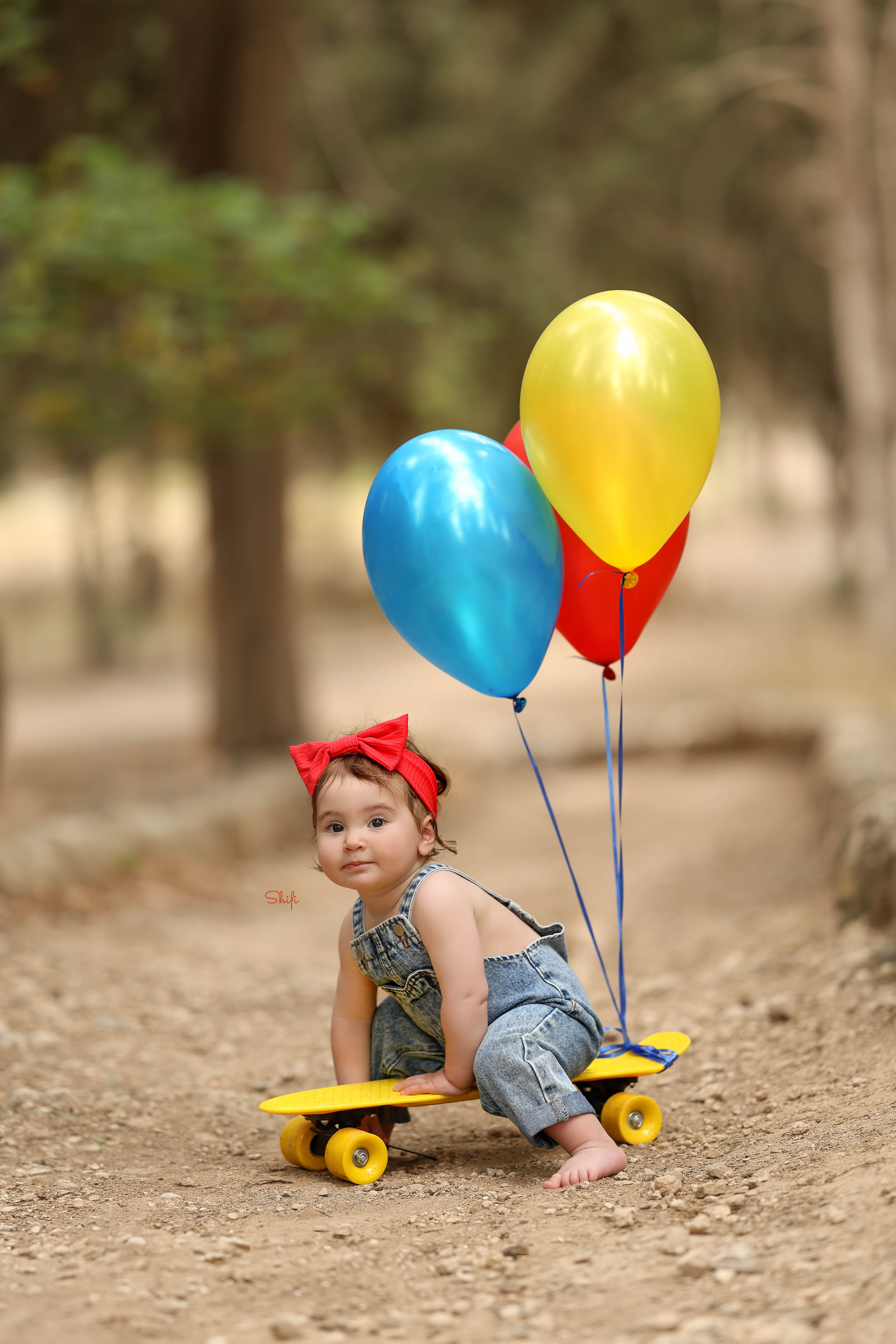 צילום שיפי 0548517049 (3).jpg