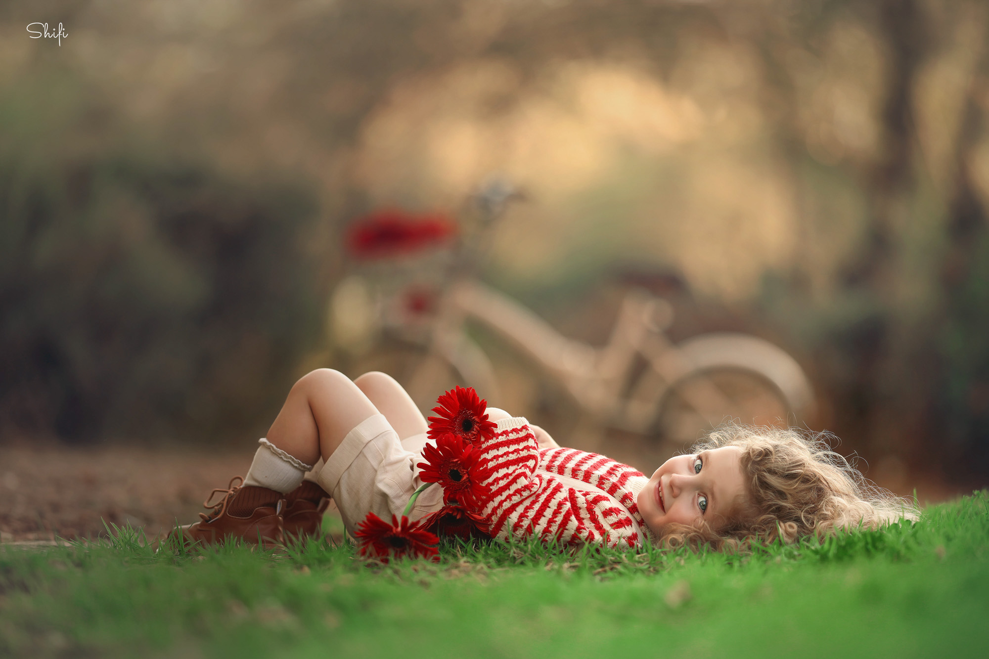 צילום שיפי 0548517049 (30).jpg