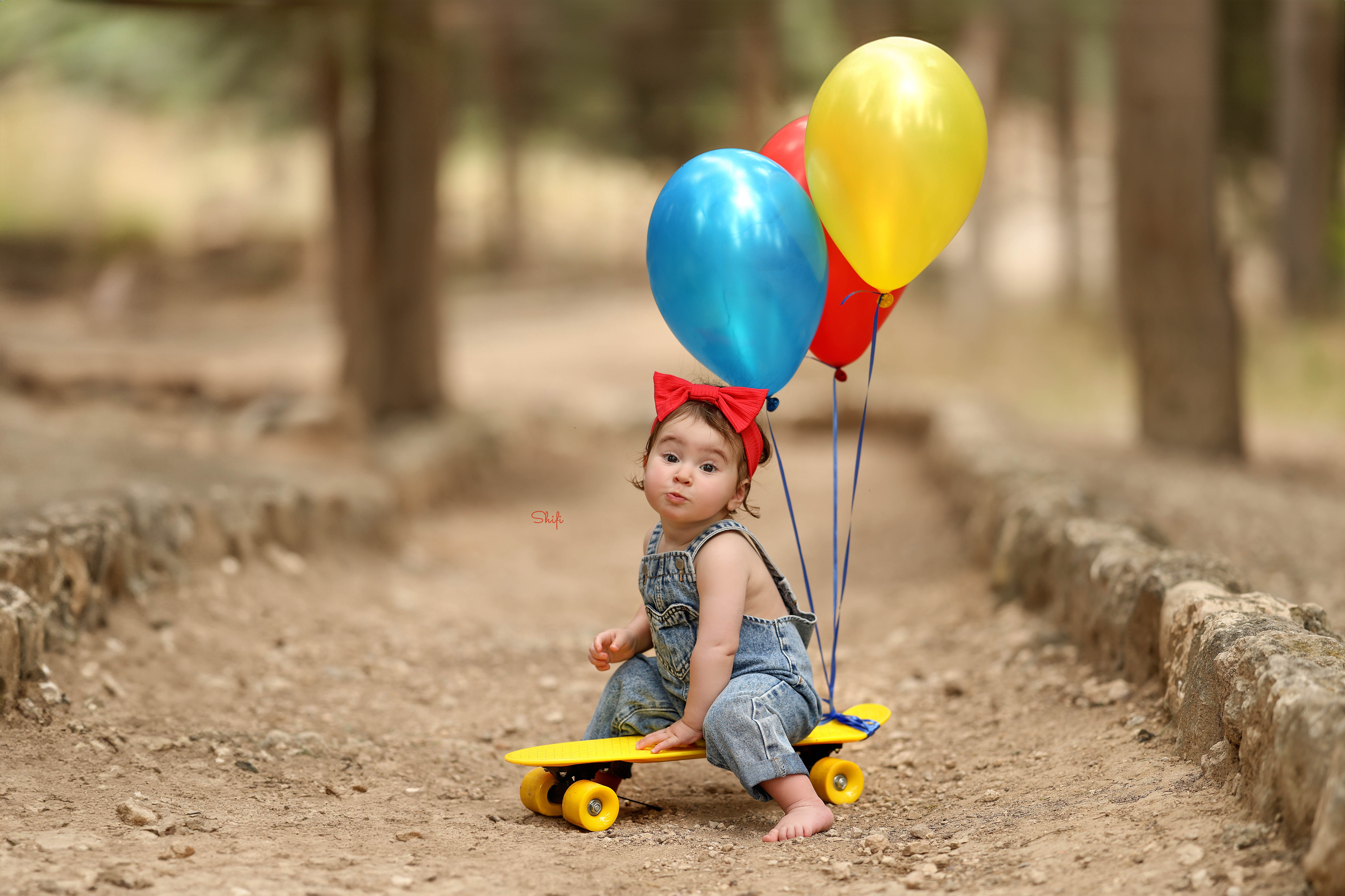 צילום שיפי 0548517049 (4).jpg