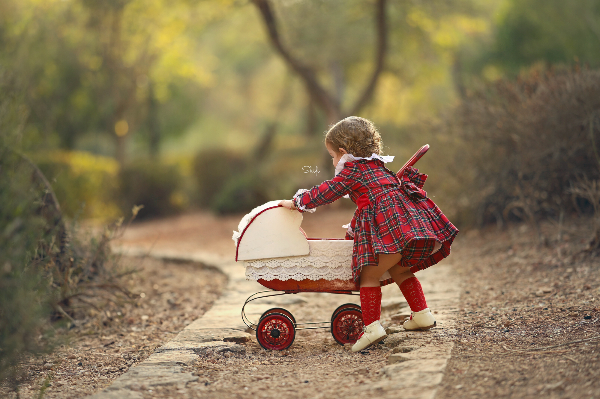 צילום שיפי 0548517049 (43).jpg