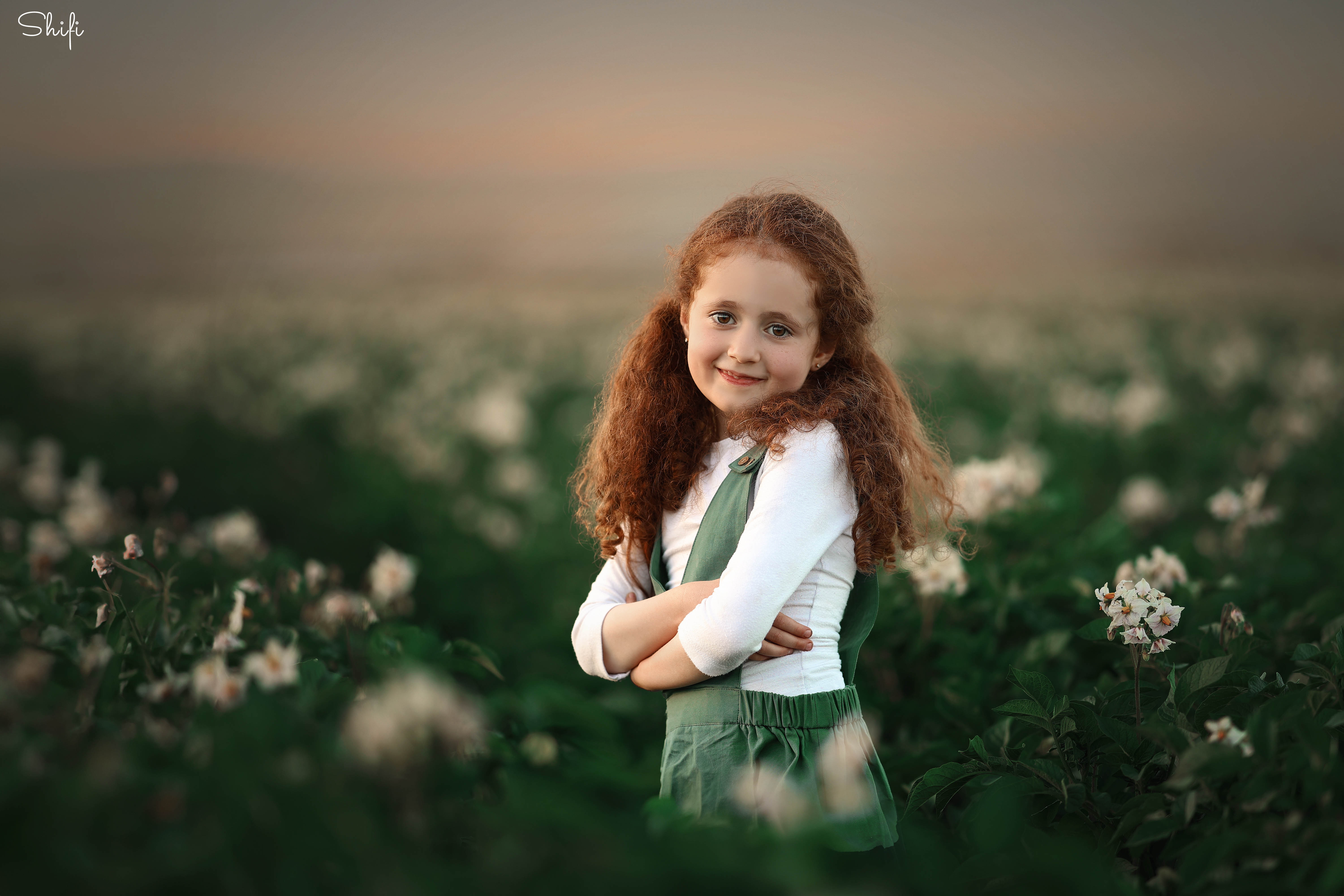 צילום שיפי 0548517049 (5).jpg