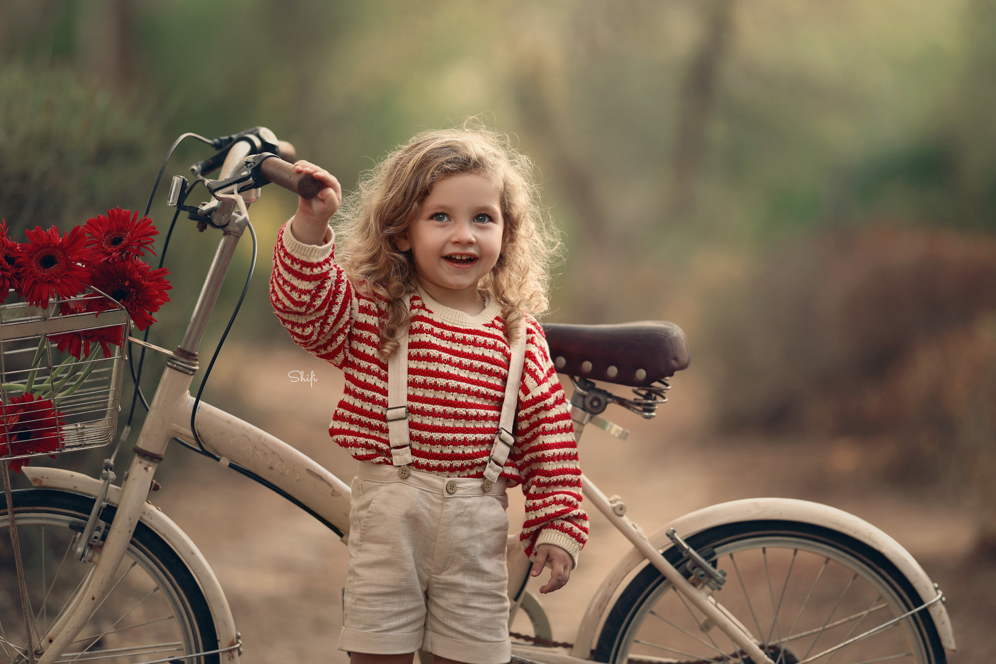 צילום שיפי 0548517049 (5).jpg