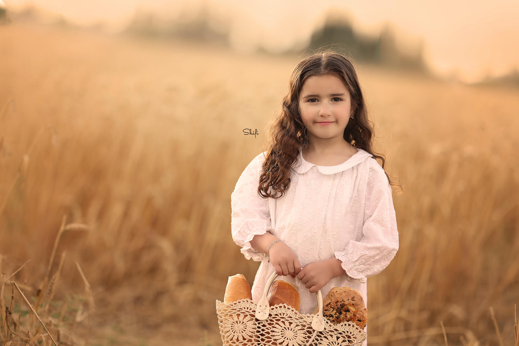 צילום שיפי 0548517049 (6).jpg