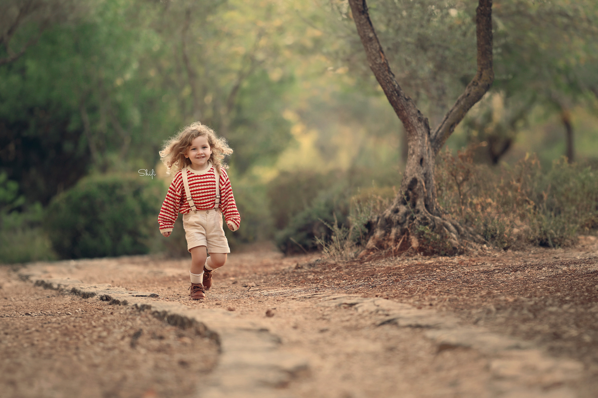 צילום שיפי 0548517049 (6).jpg