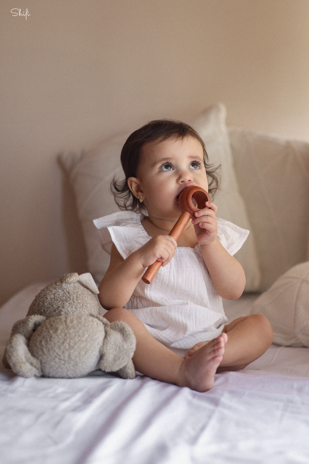 צילום שיפי 0548517049 (6).jpg