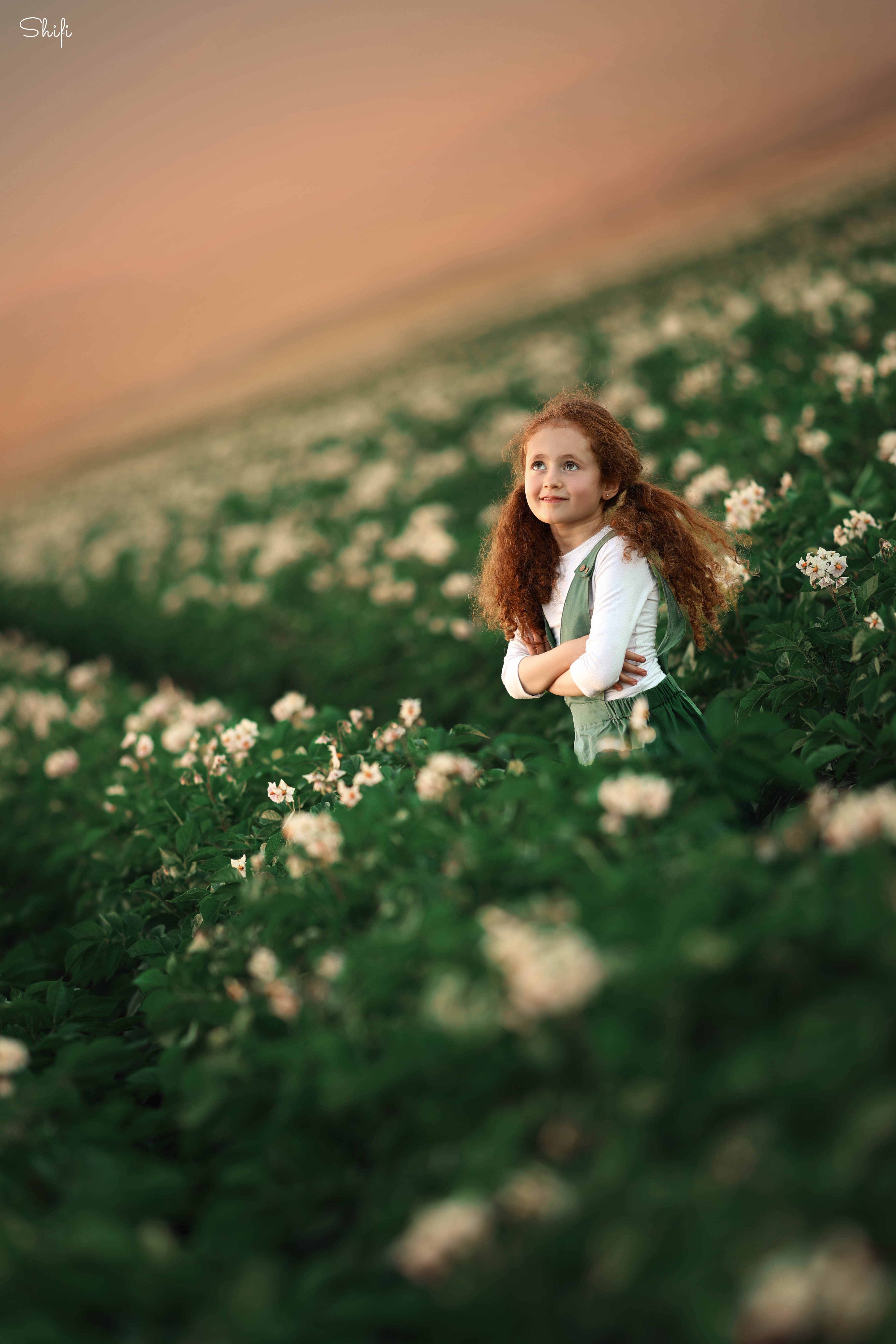 צילום שיפי 0548517049 (7).jpg