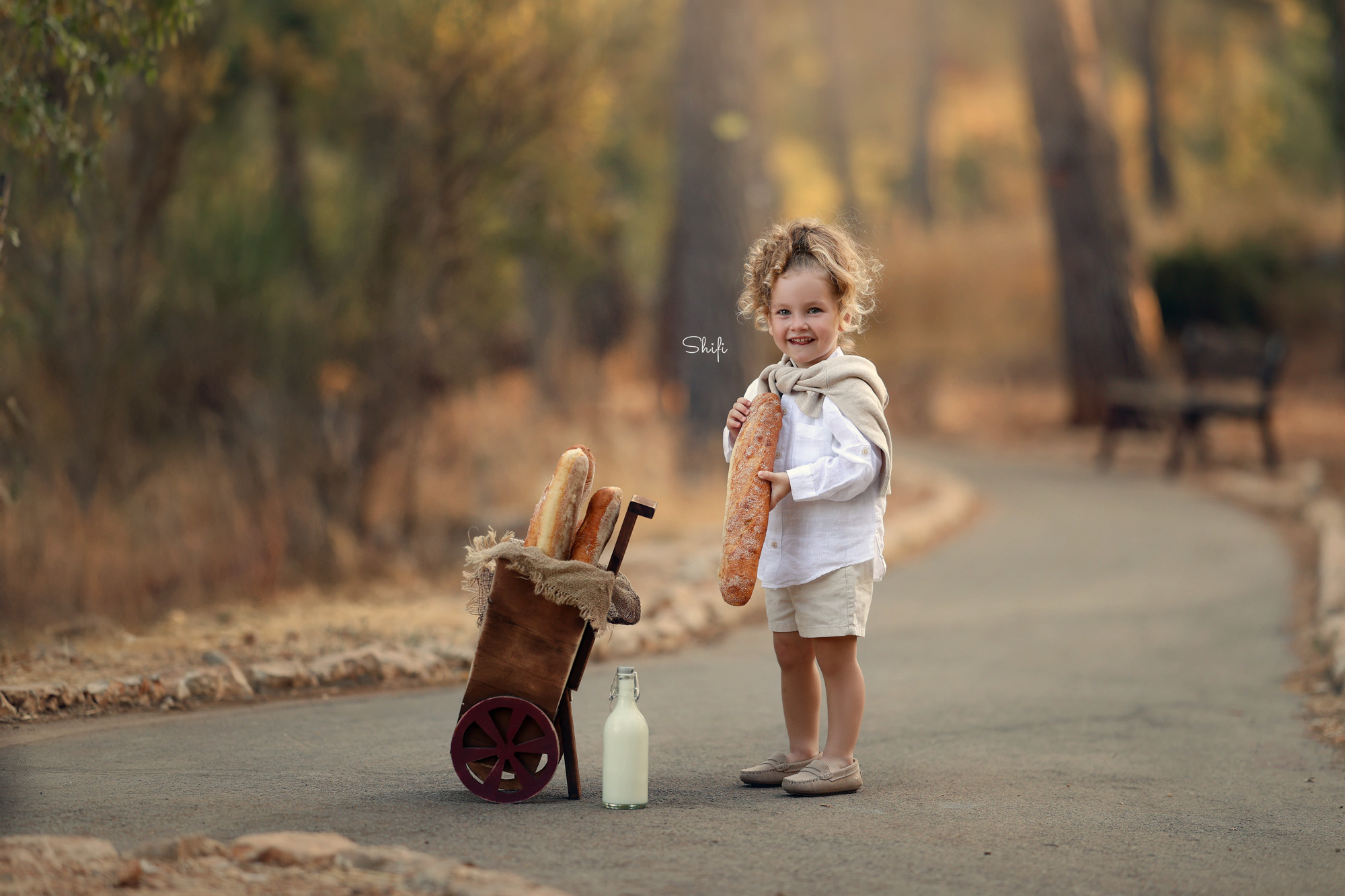 צילום שיפי 0548517049 (8).jpg