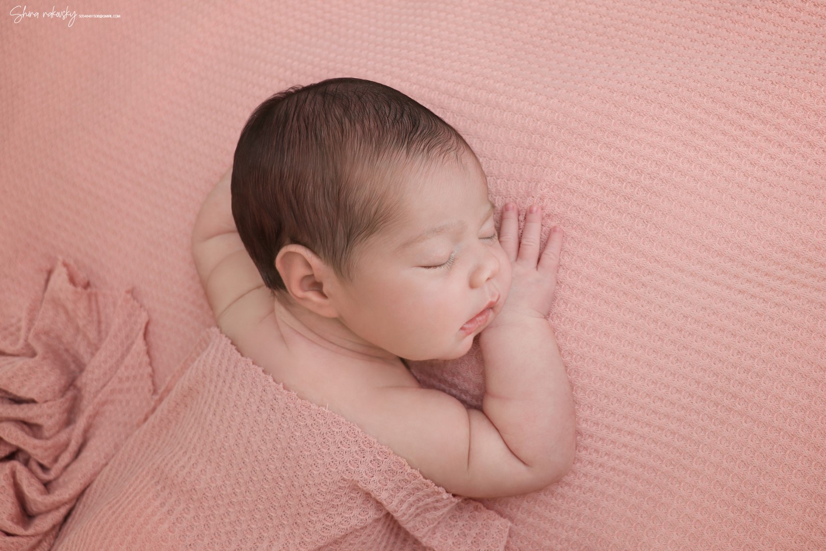 צילום שירה רקובסקי s0548481508 gmail (1).jpg