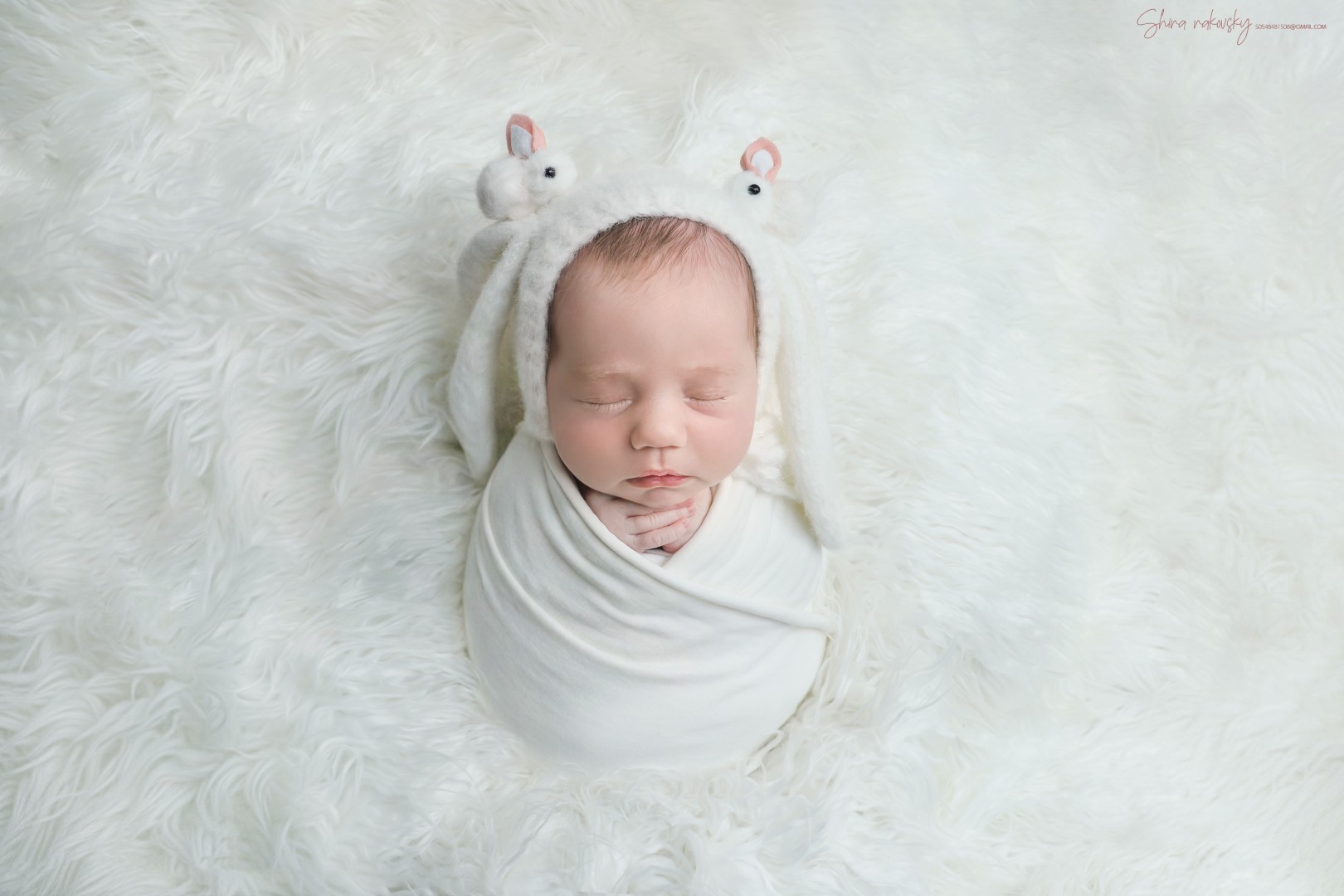 צילום שירה רקובסקי s0548481508 gmail (16).jpg