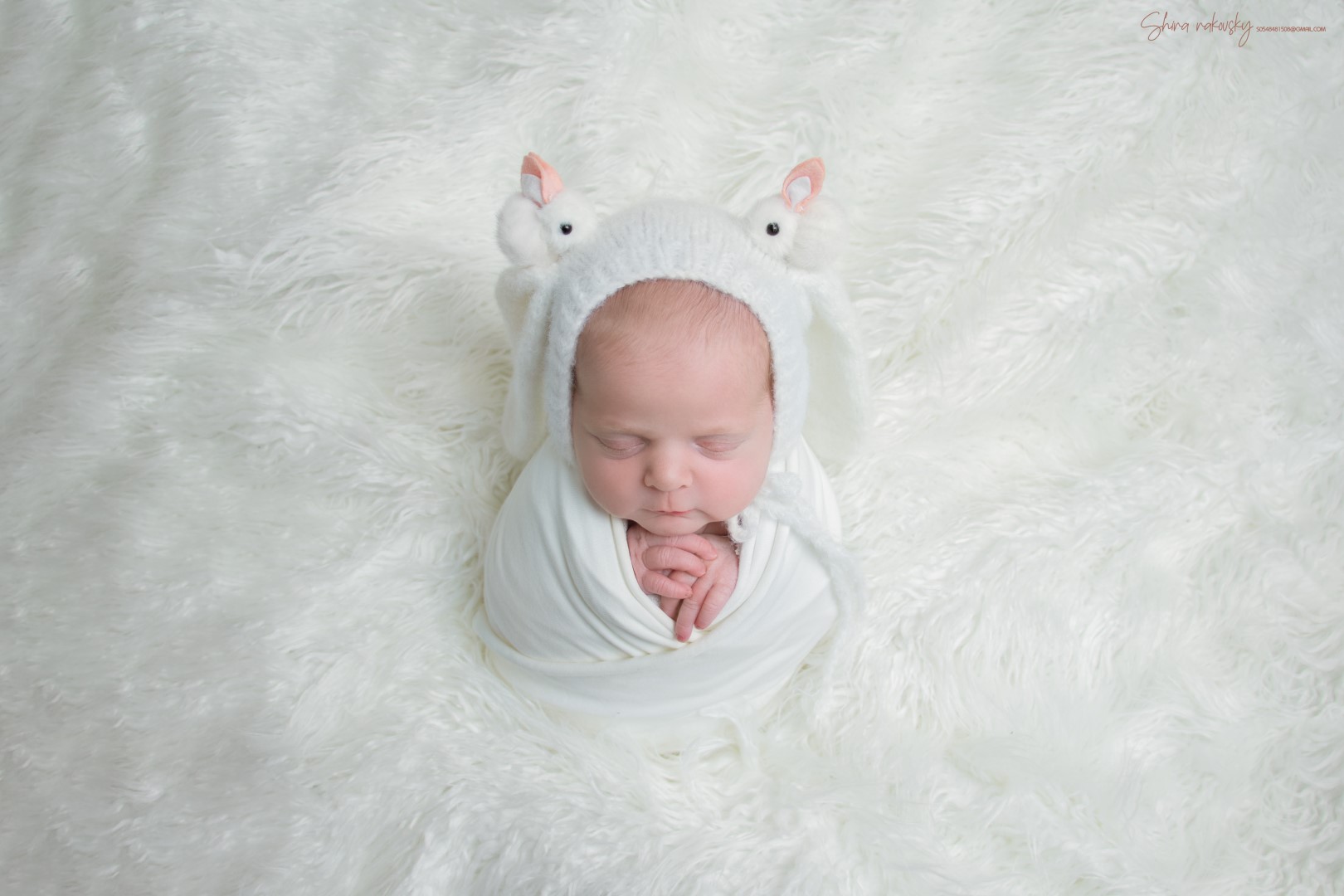 צילום שירה רקובסקי s0548481508 gmail (2).jpg