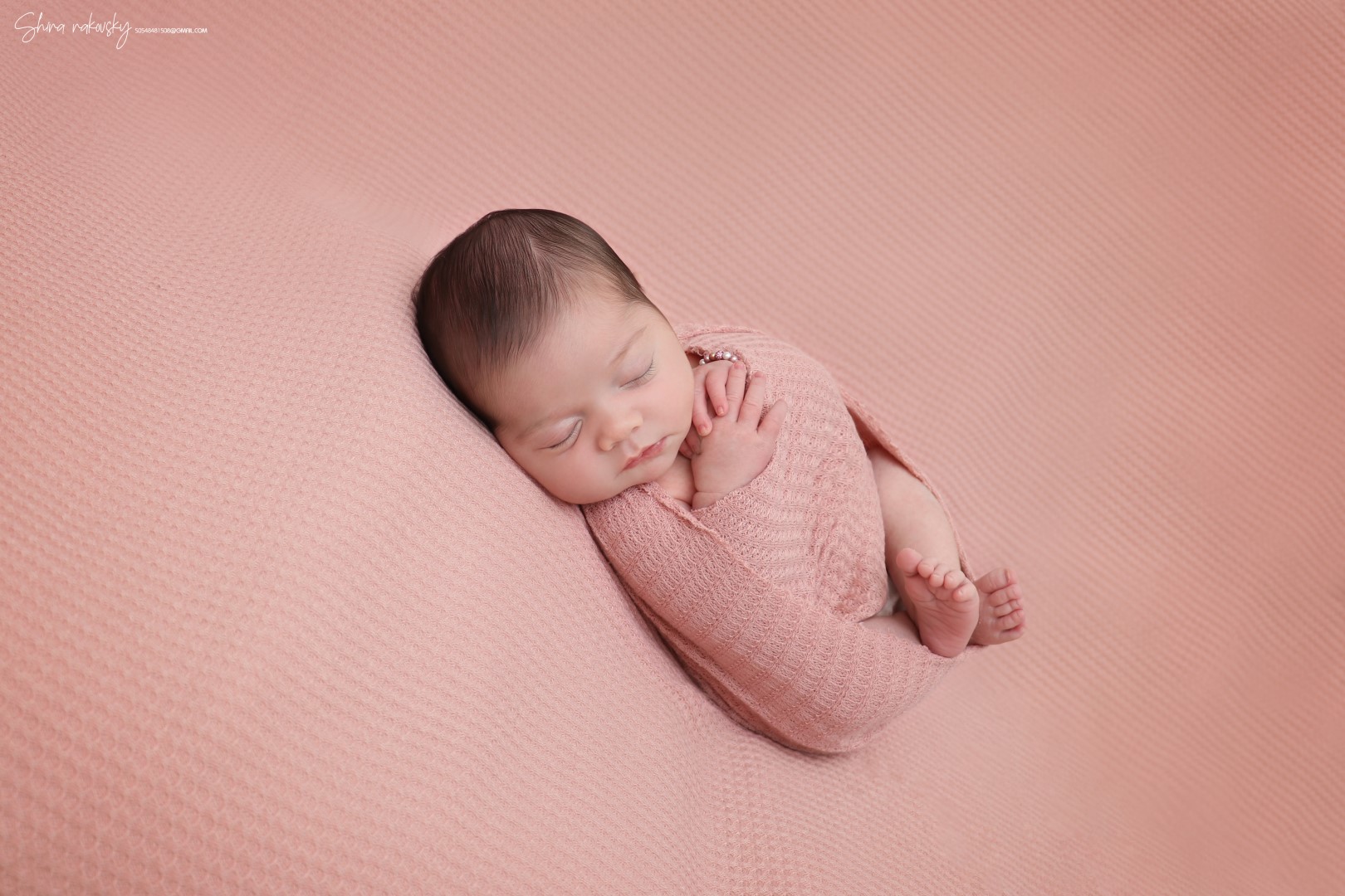 צילום שירה רקובסקי s0548481508 gmail (2).jpg