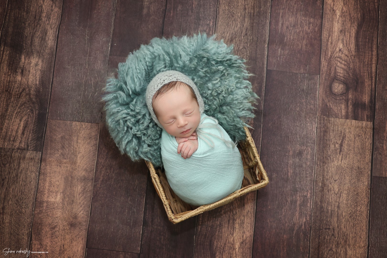 צילום שירה רקובסקי s0548481508#gmail (3).jpg