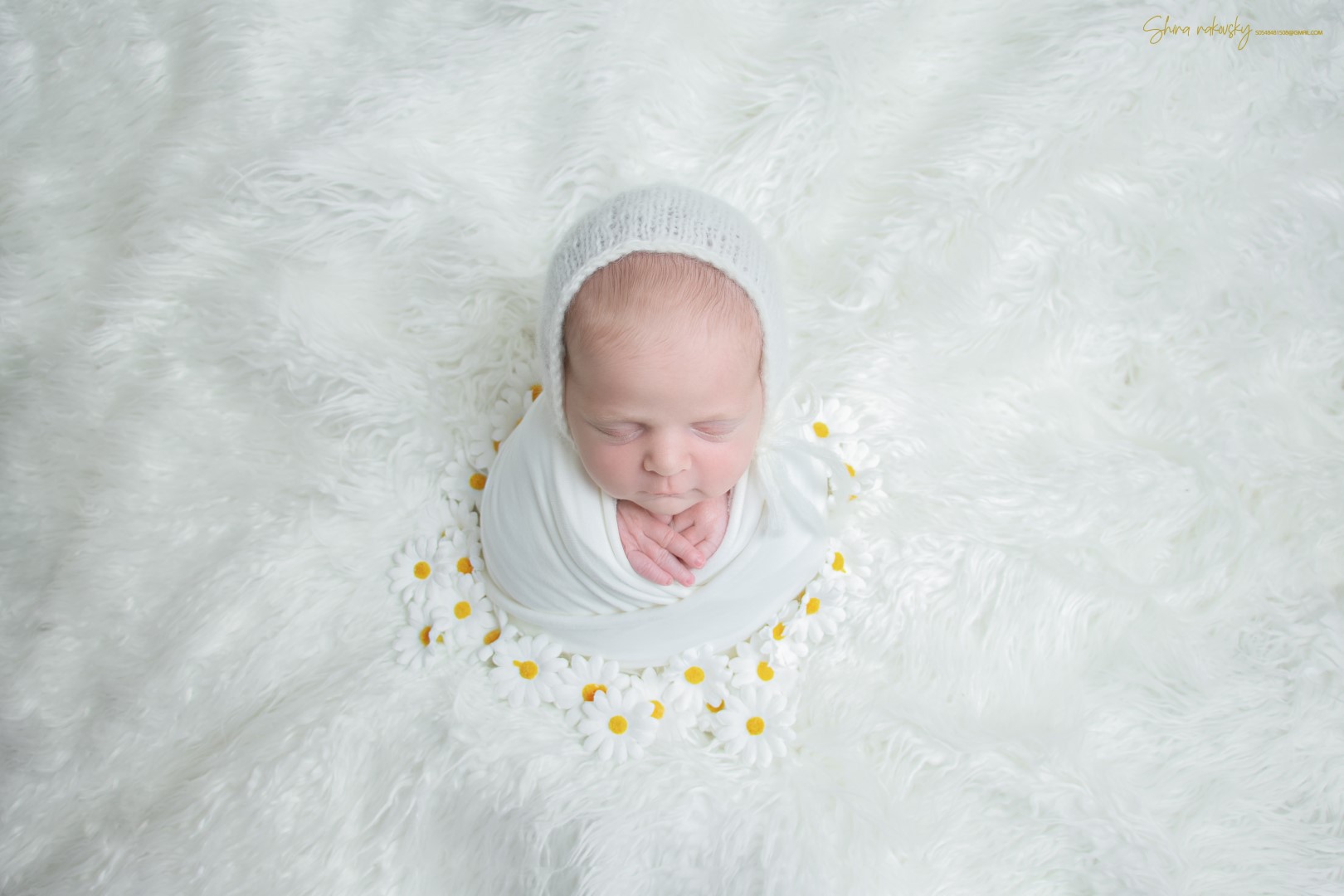 צילום שירה רקובסקי s0548481508 gmail (3).jpg