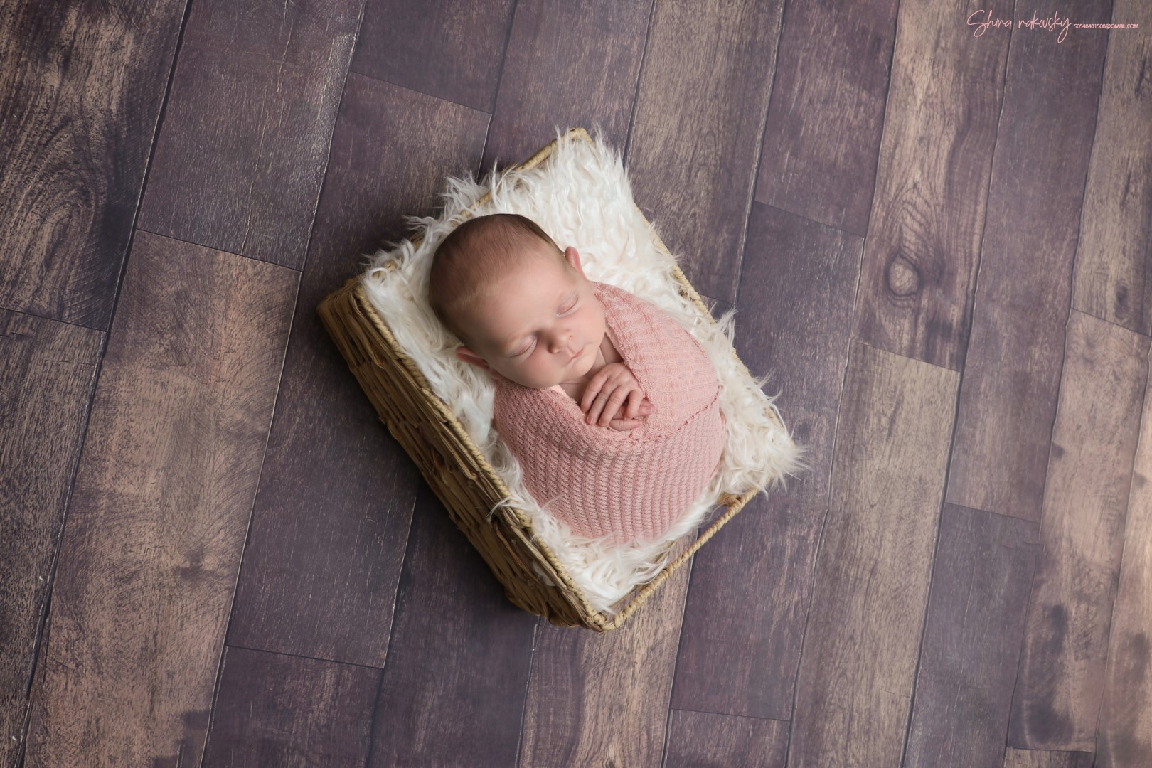 צילום שירה רקובסקי s0548481508 gmail (6).jpg