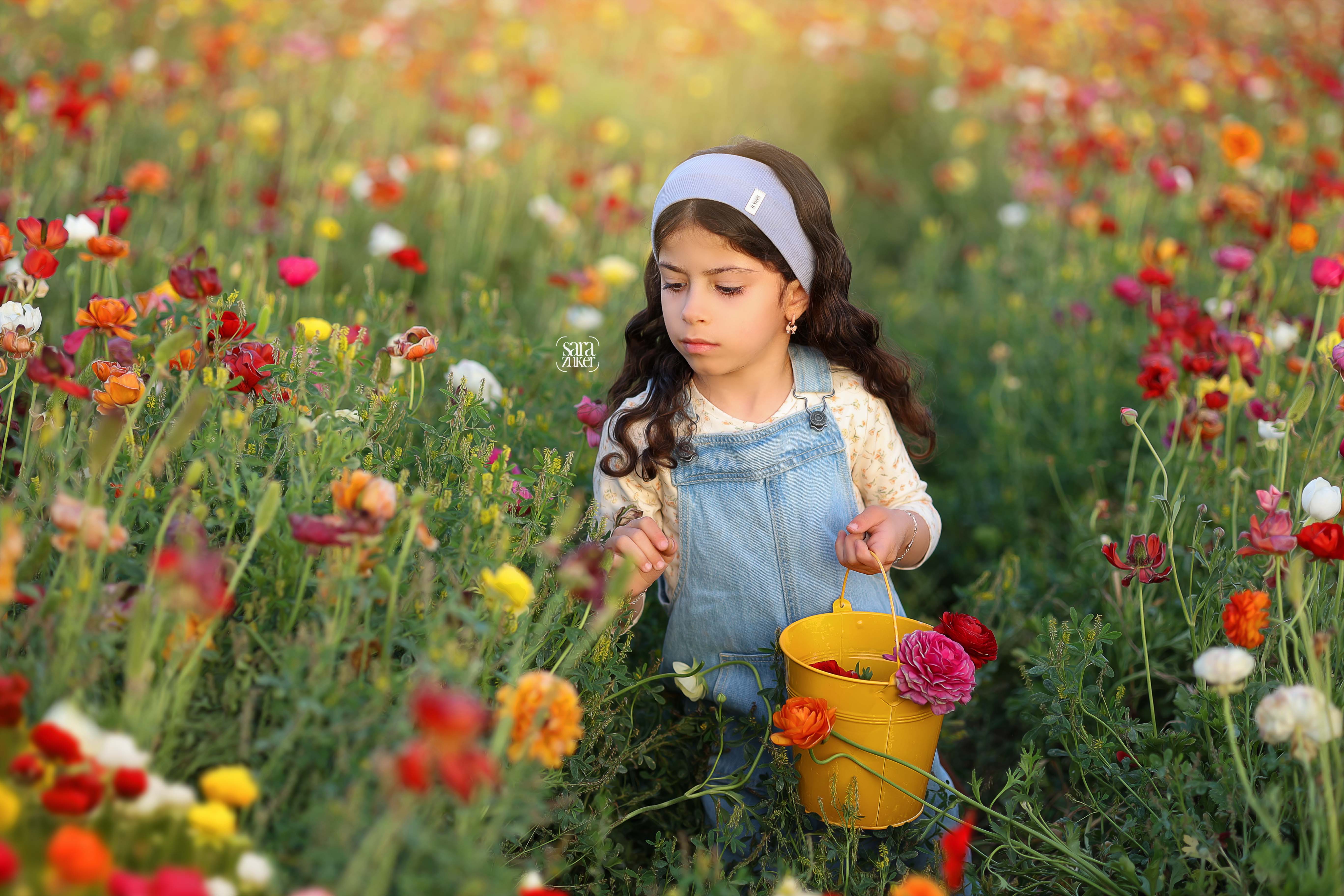 צילום שרה צוקר נוריות 4 0527695445.jpg3.jpg