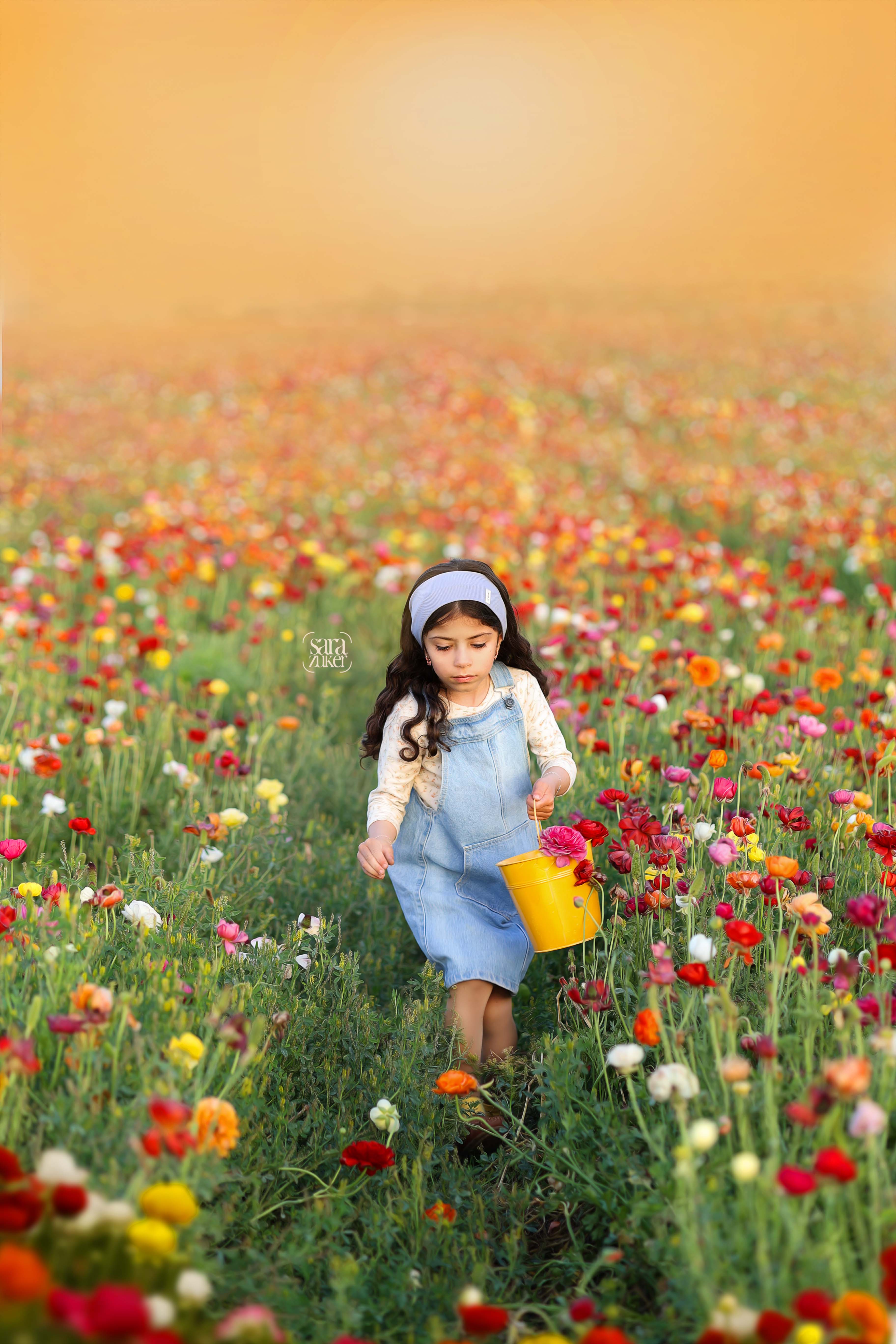 צילום שרה צוקר נוריות 5 0527695445.8.jpg