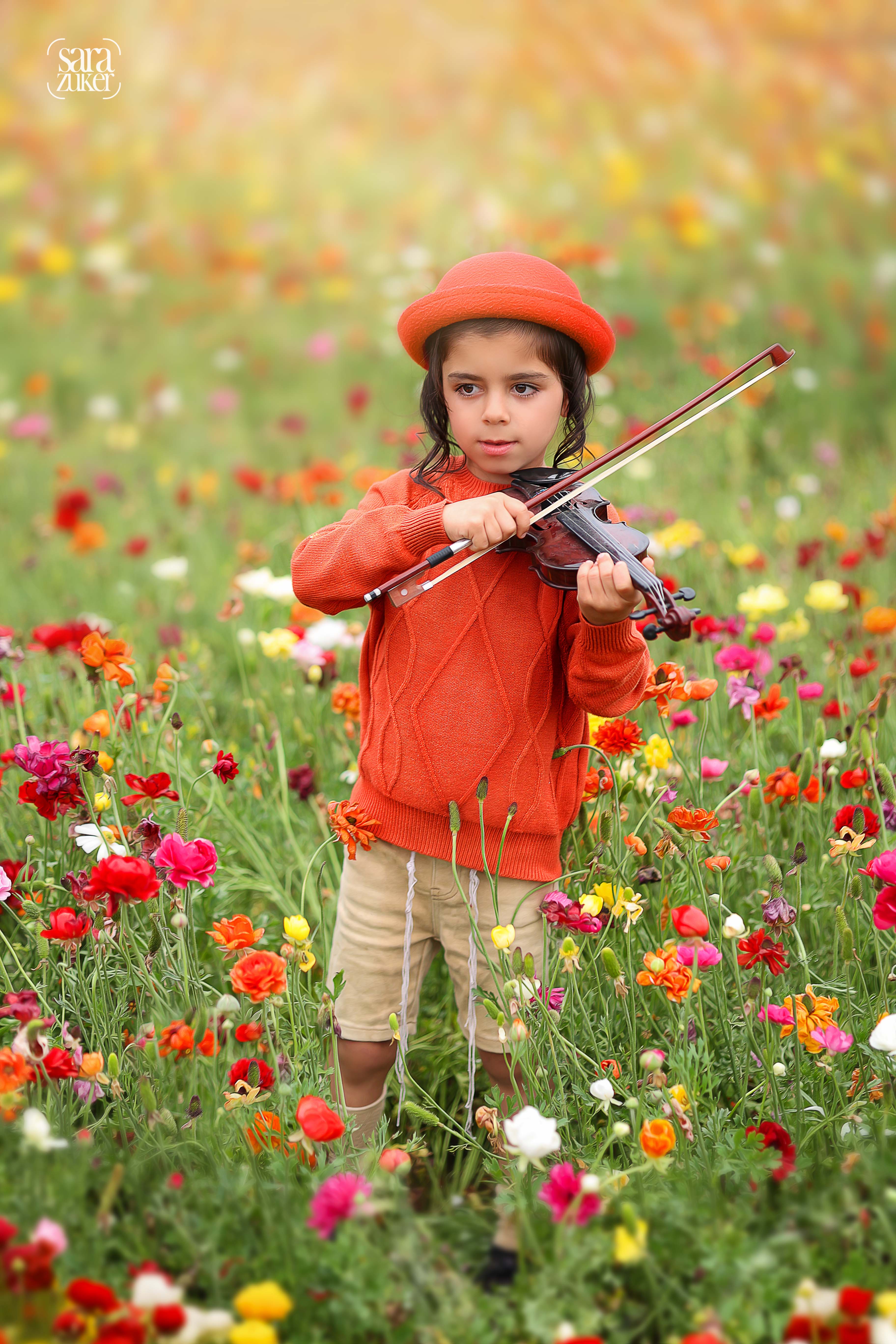 צילום שרה צוקר 0527695445נוריות 7.jpg