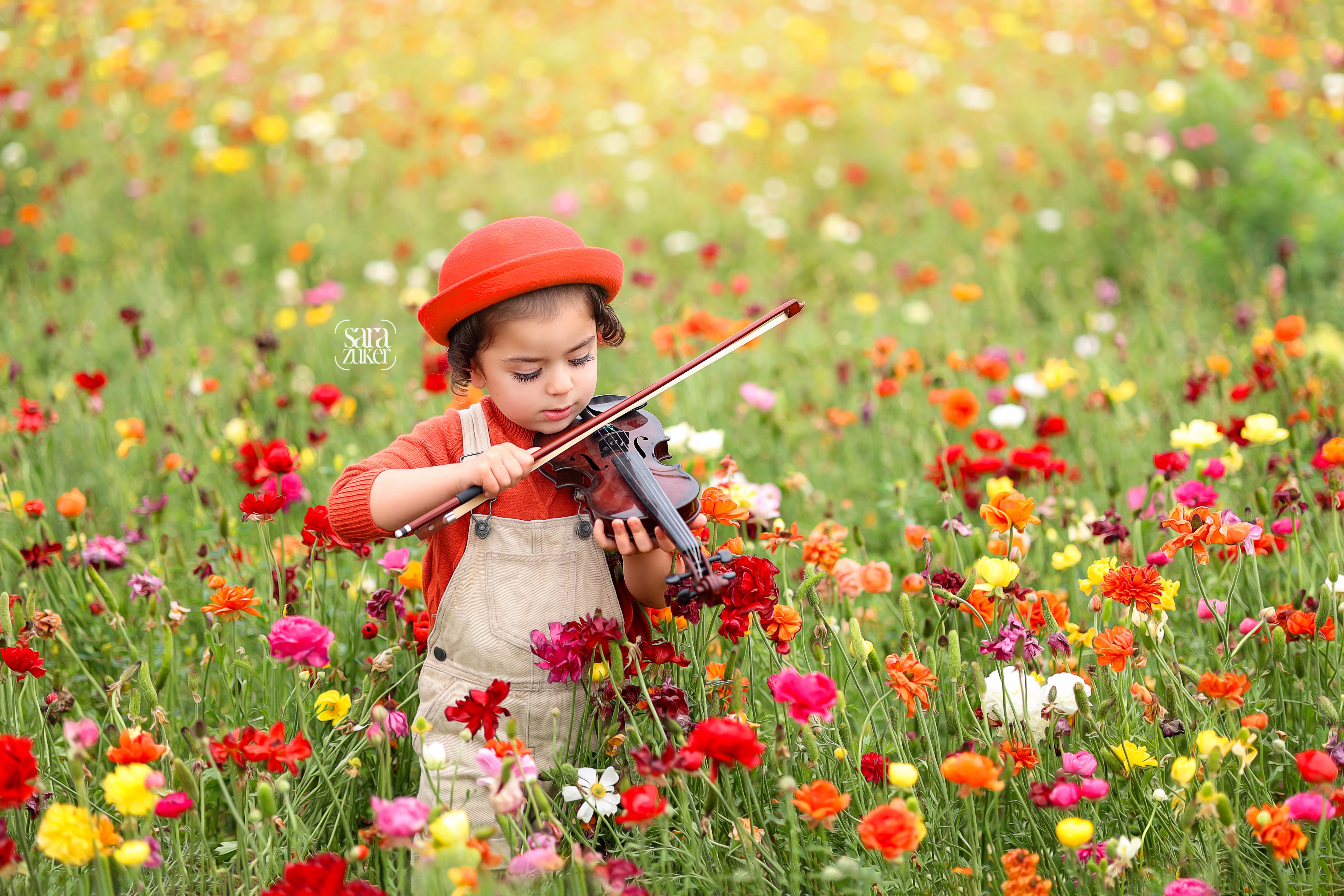 צילום שרה צוקר 0527695445נוריות 8.jpg