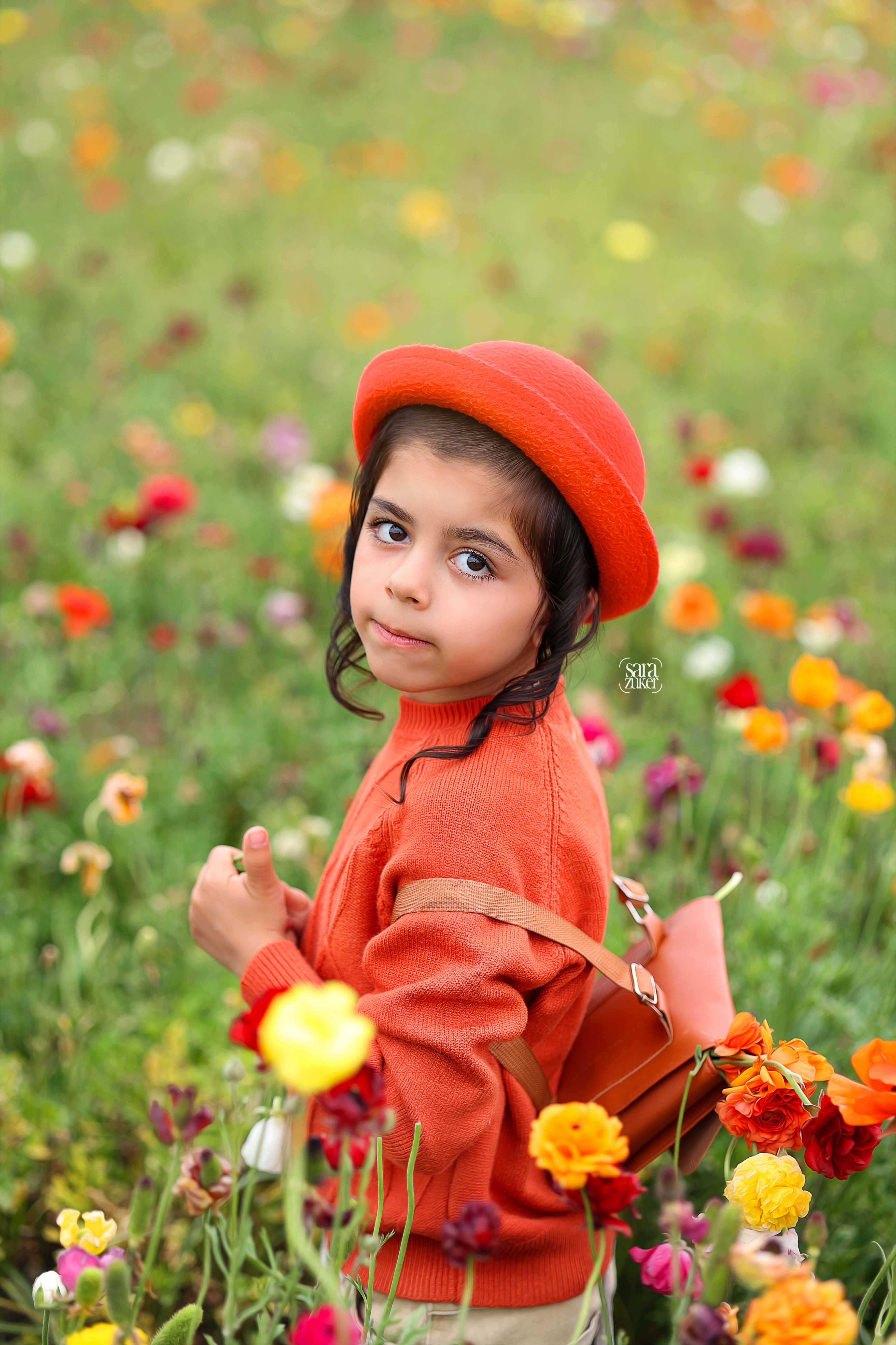 צילום שרה צוקר 0527695445נוריות 9.jpg