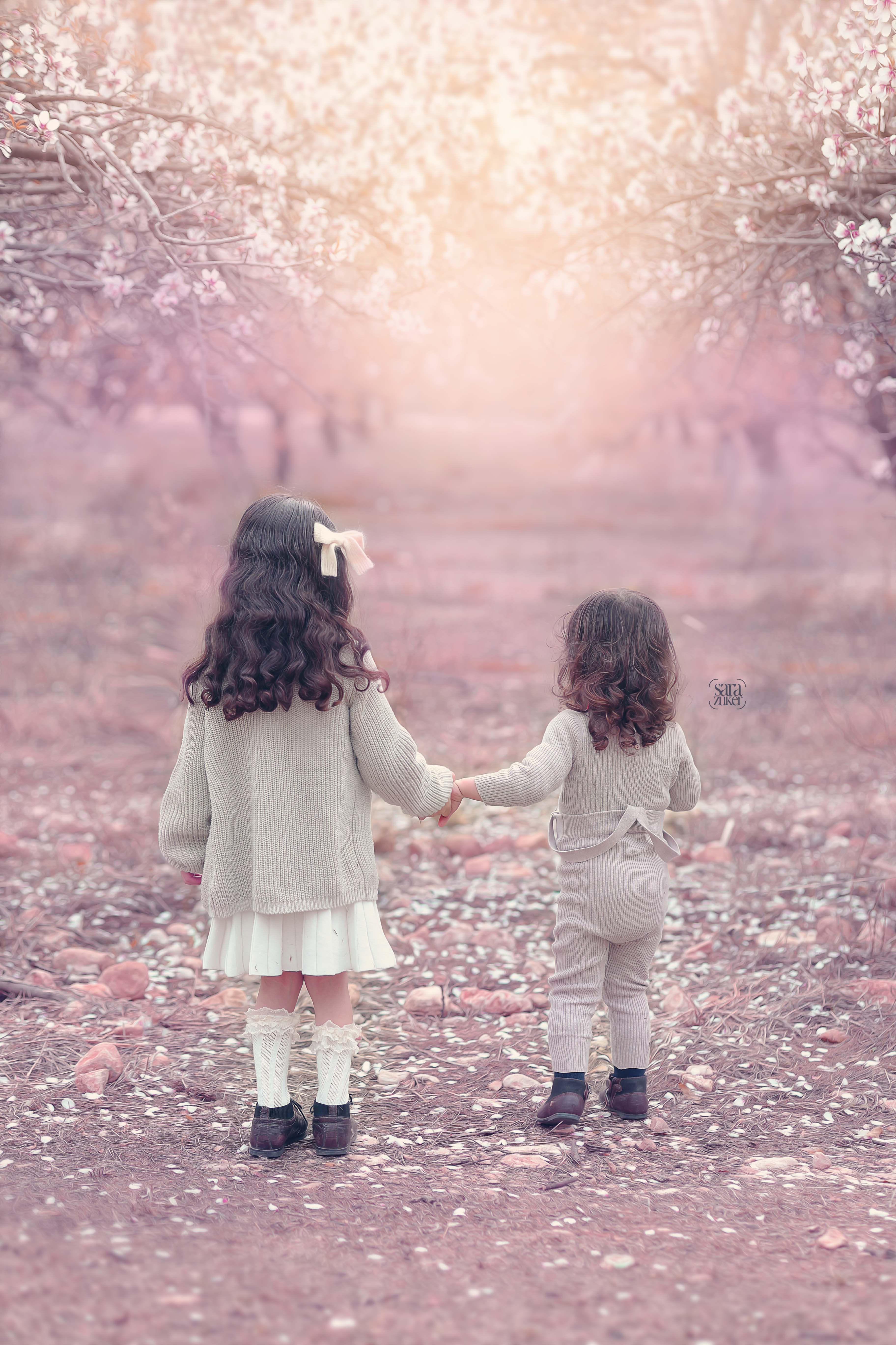 צילום שרה צוקר 2 0527695445.jpg