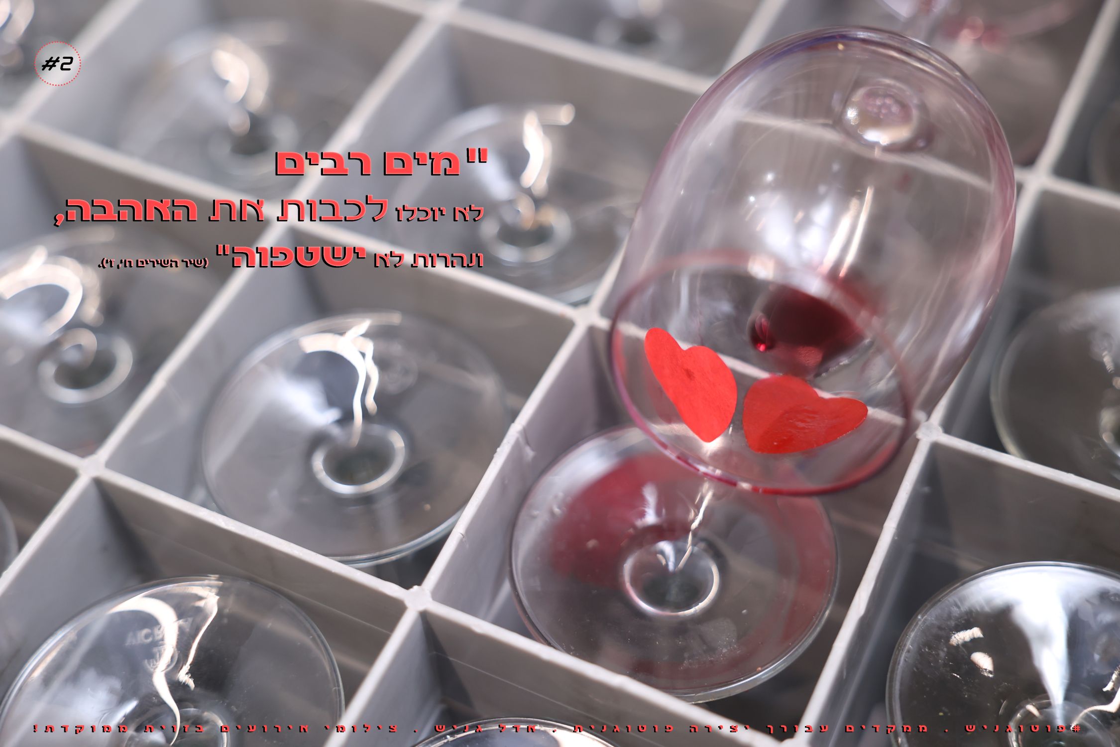 צילומי חתונות אדל גניש 2.jpg