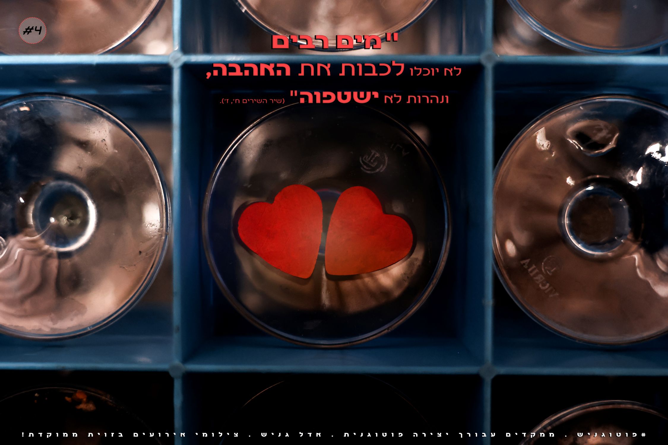 צילומי חתונות אדל גניש 4.jpg