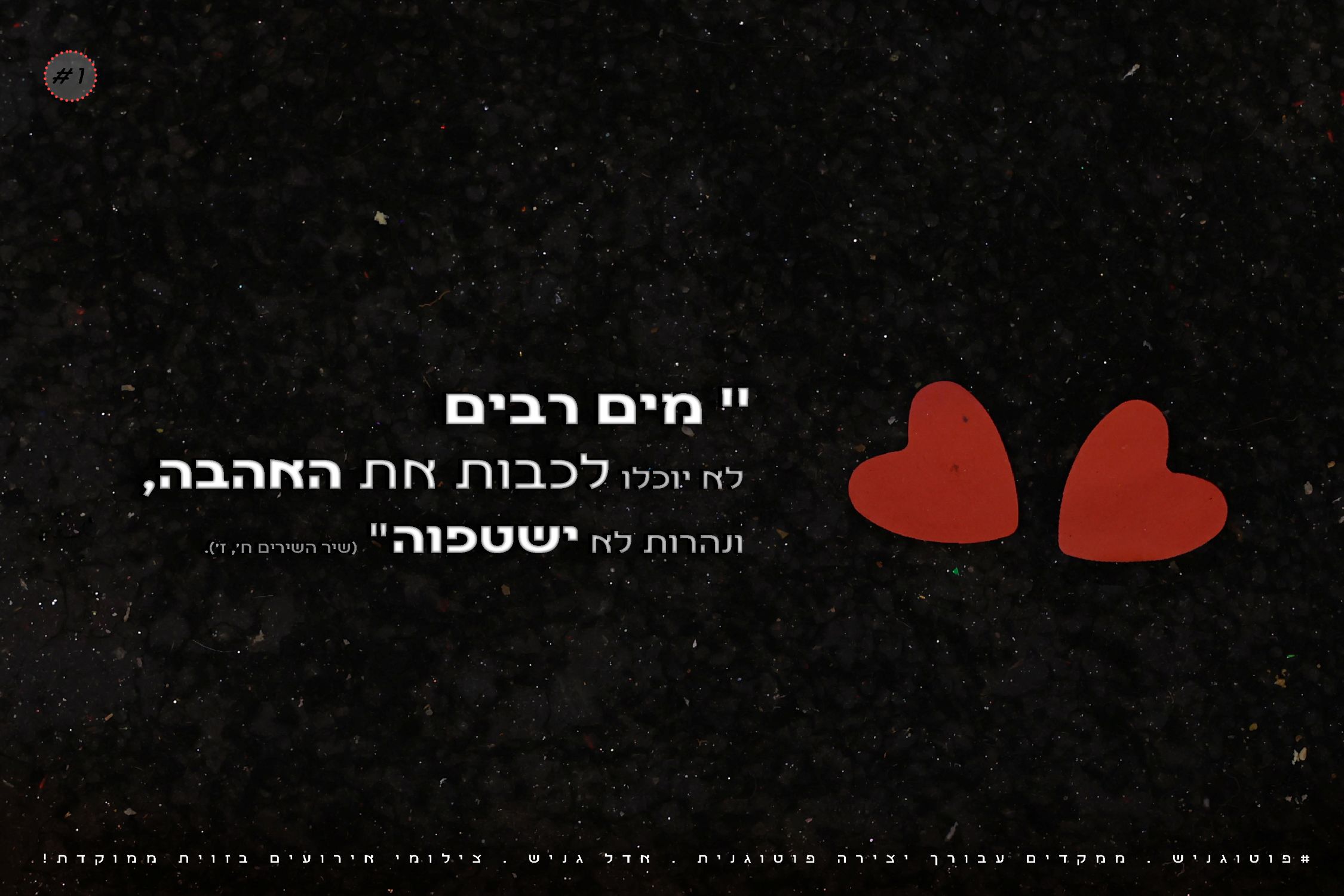 צילומי חתונות אדל גניש.jpg