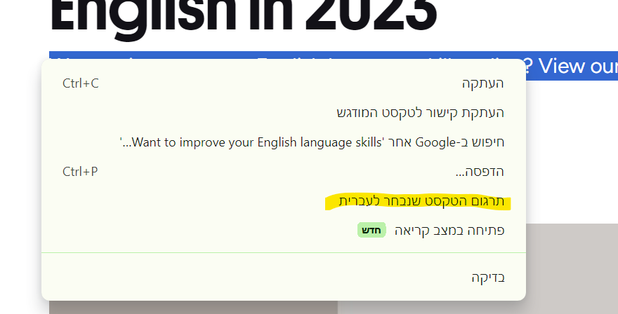 צילומסך לפרוג.png