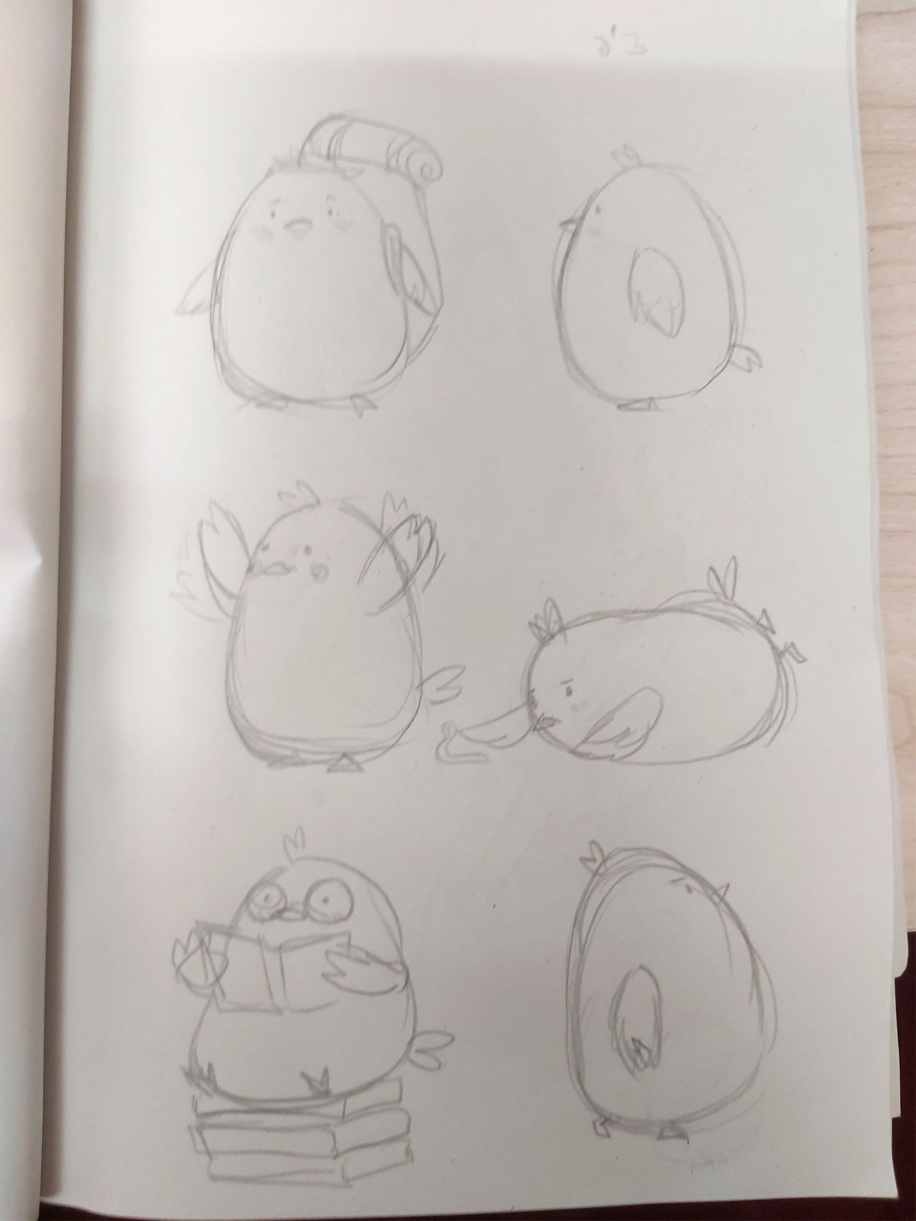 ציפ סקיצה-.jpg