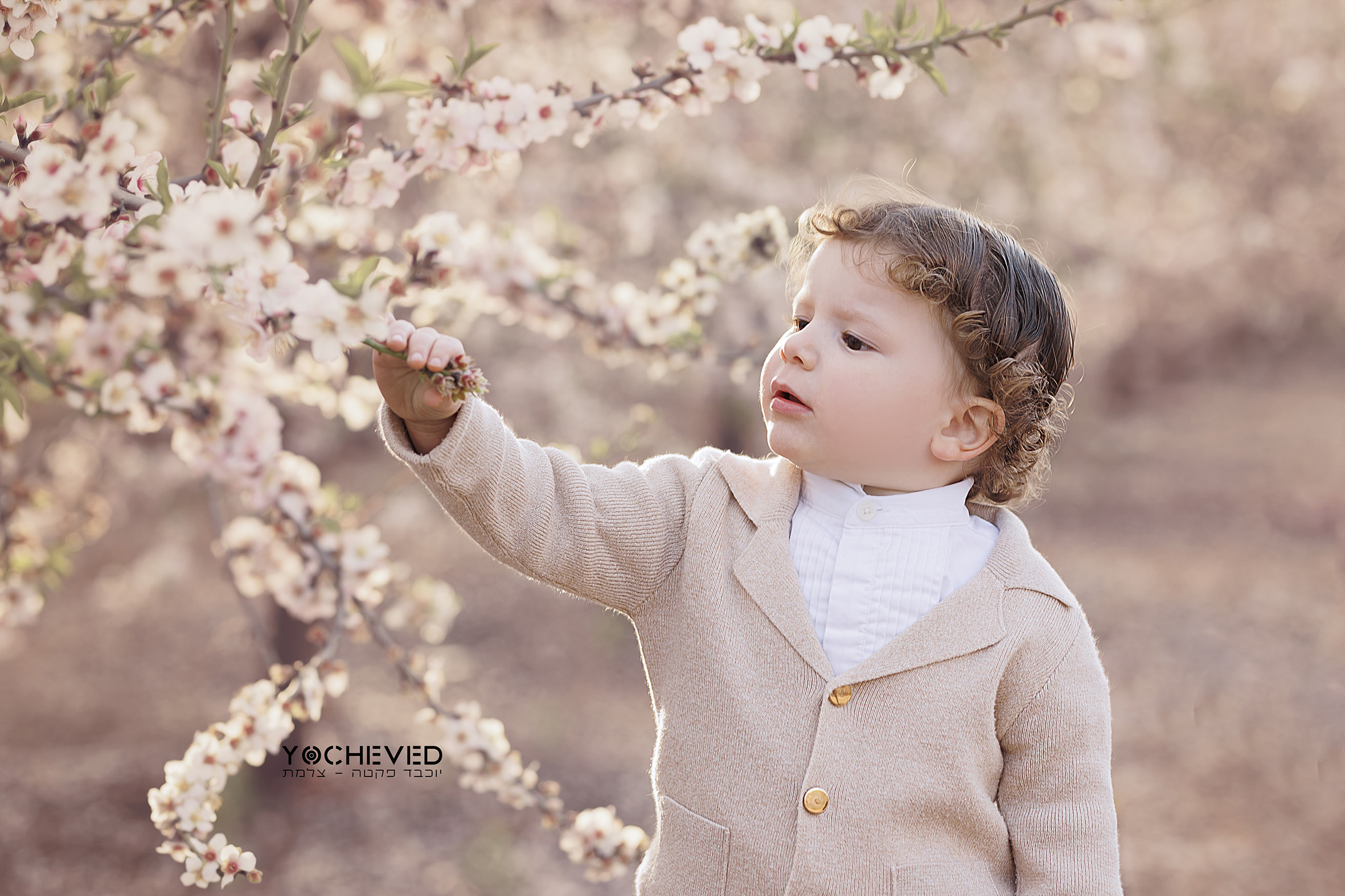 צלמת יוכבד פקטה 0548418727.jpg