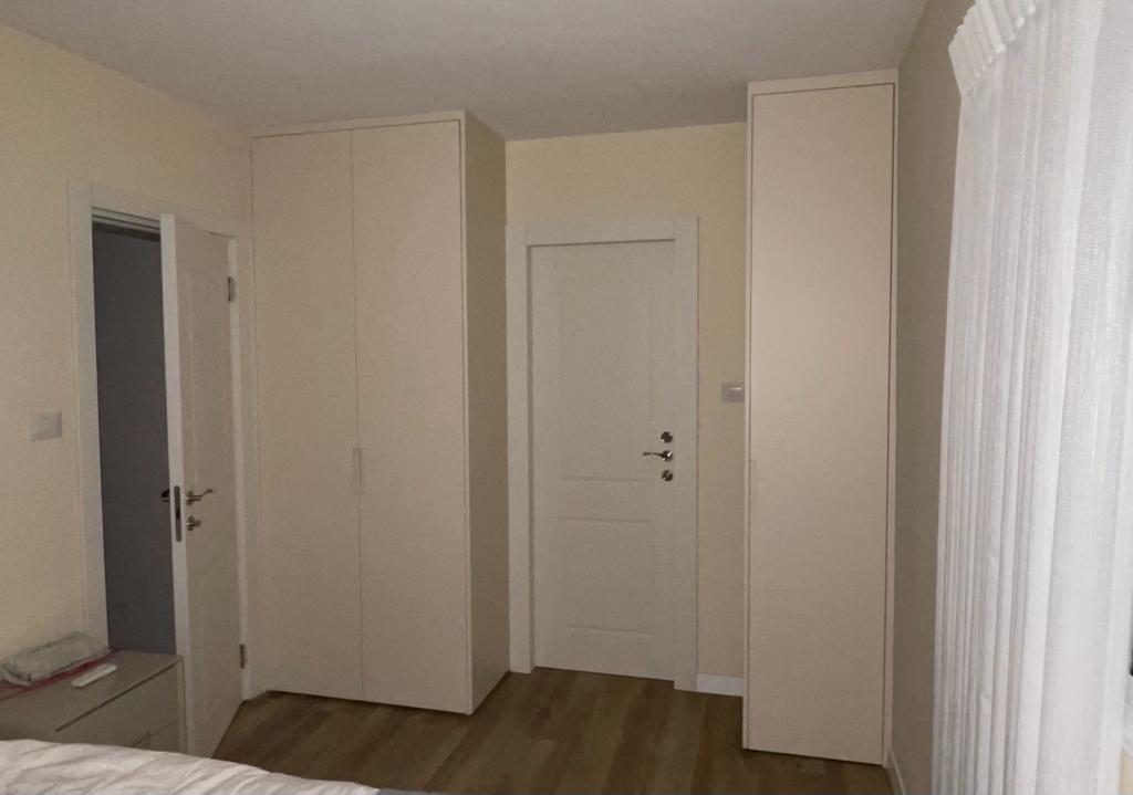 צמד ארונות ודלת בינהן.jpg