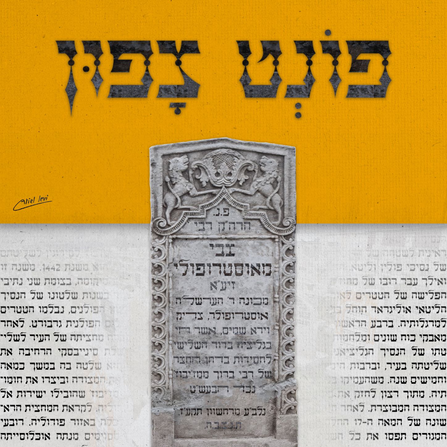 צפון - כרטיסיה 1 קטן.jpg